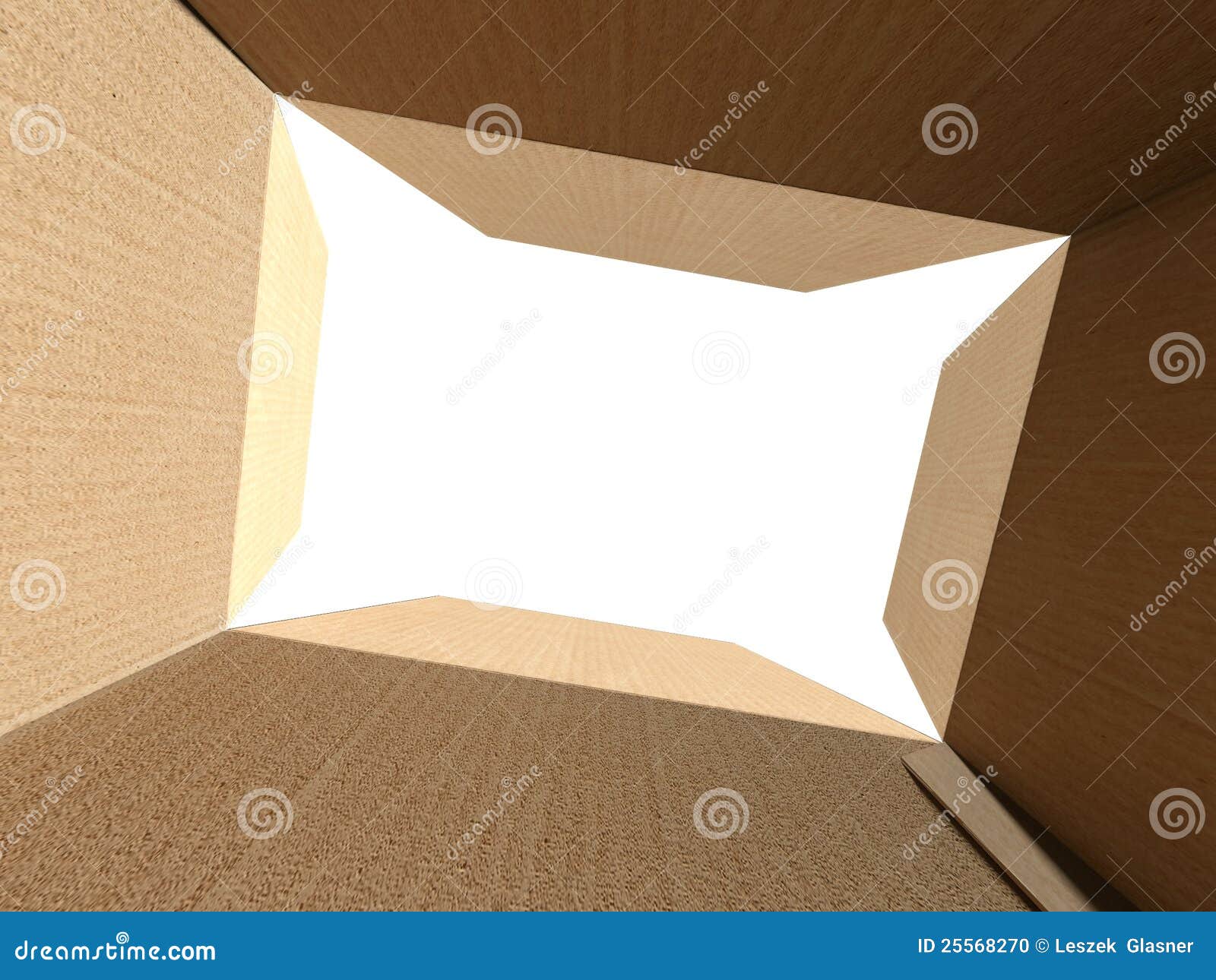 Inside an Empty Cardboard Box with White Background Stock Illustration