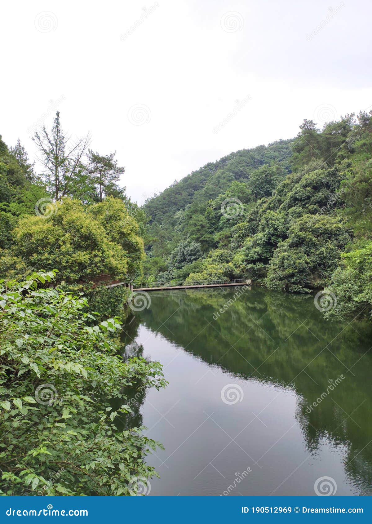 the reservoir in the woods