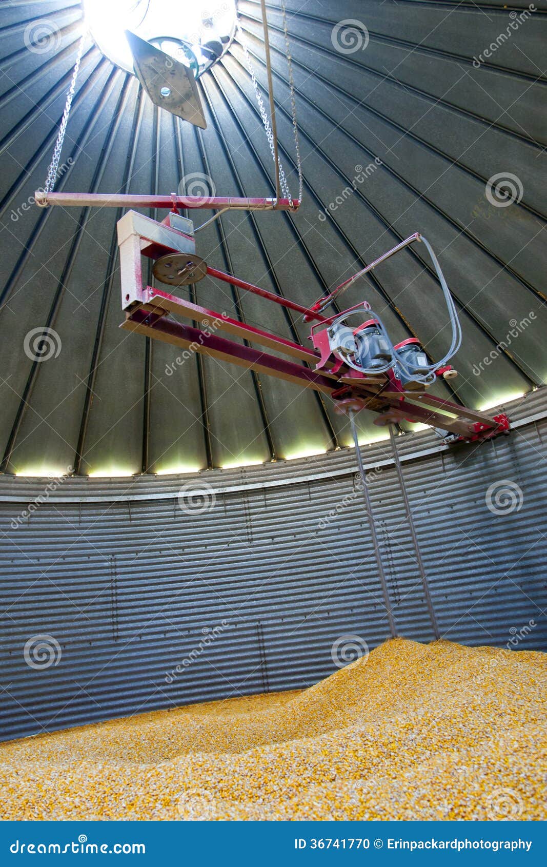 inside a grain silo