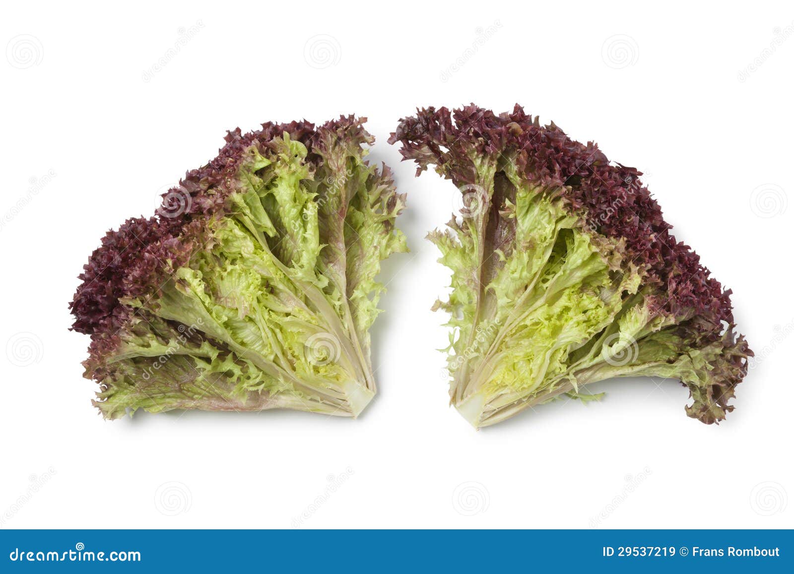 inside lollo rosso lettuce
