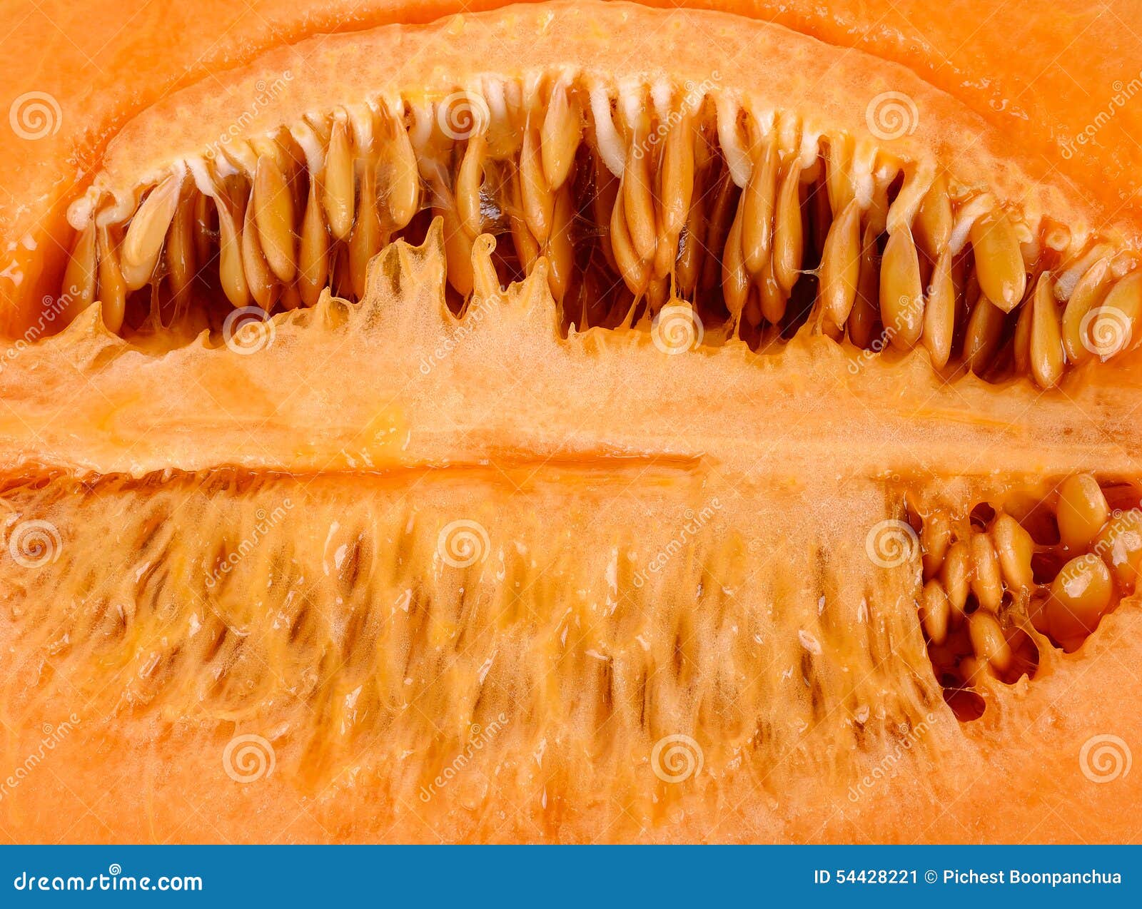 Inside Melon with Seed Background Stock Image Image of white, slice