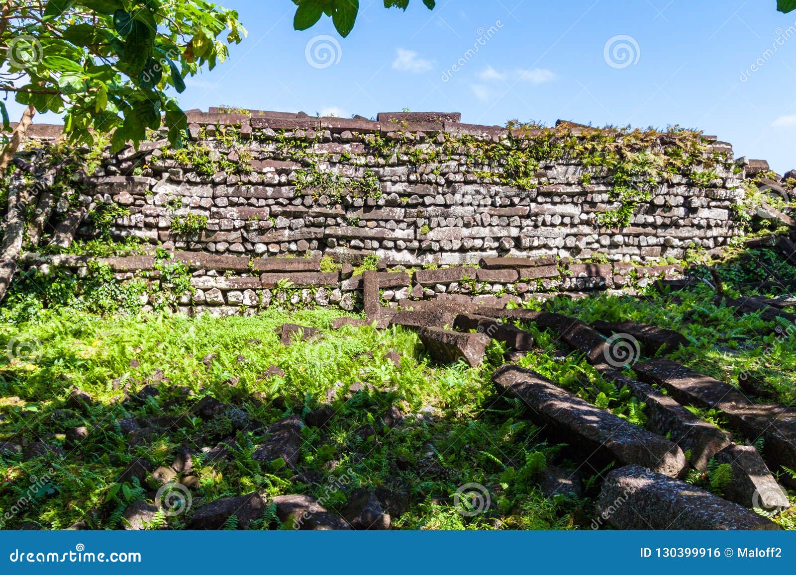 inside nan madol walls, masonry stonework of large basalt slabs. pohnpei, micronesia, oceania.