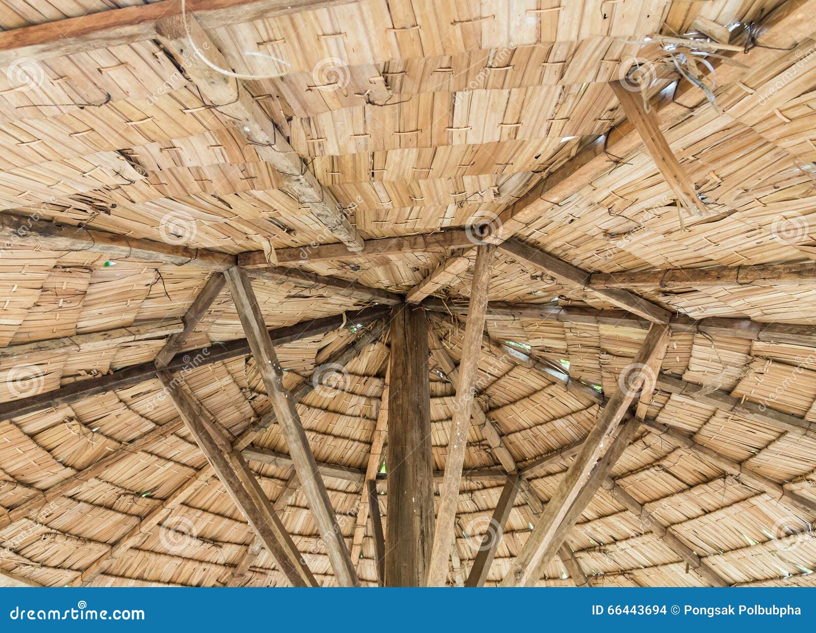 Inside of Thatched Roof Hut Stock Photo Image of frame, details 66443694