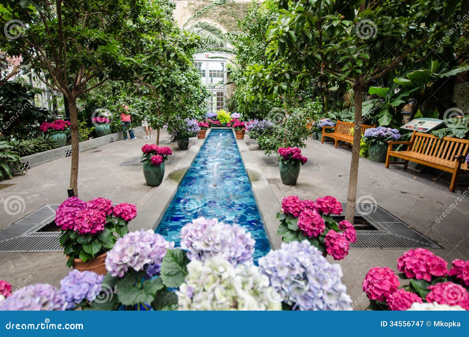 Inside The United States Botanical Garden Stock Image Image Of