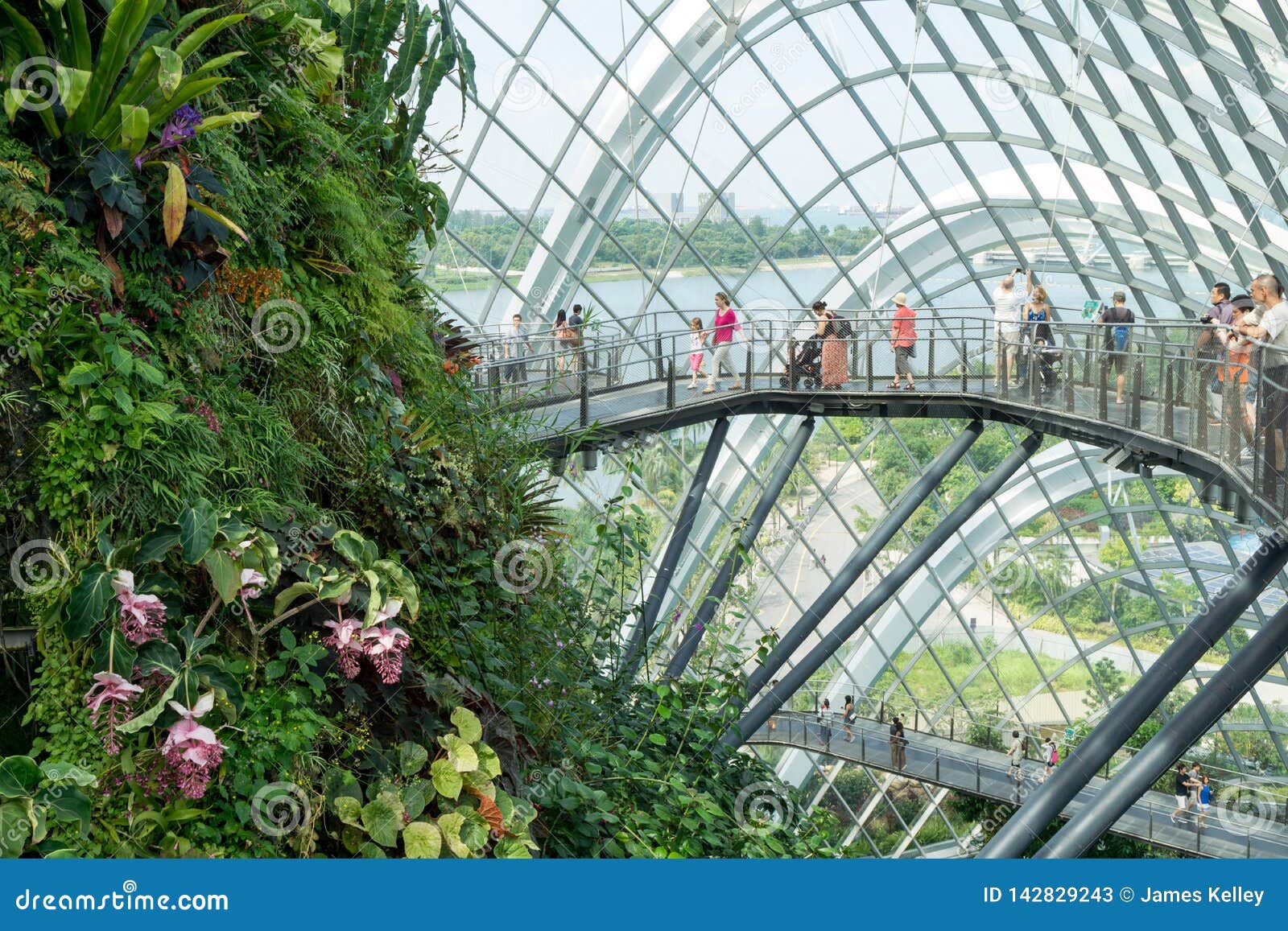 Inside View of the Flower Dome at Gardens by the Bay, Singapore