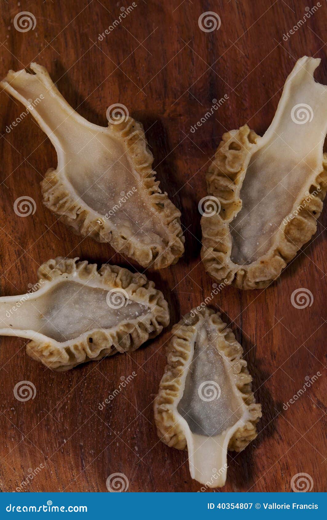 Inside view of morels stock image. Image of hollow, mushrooms 40354807