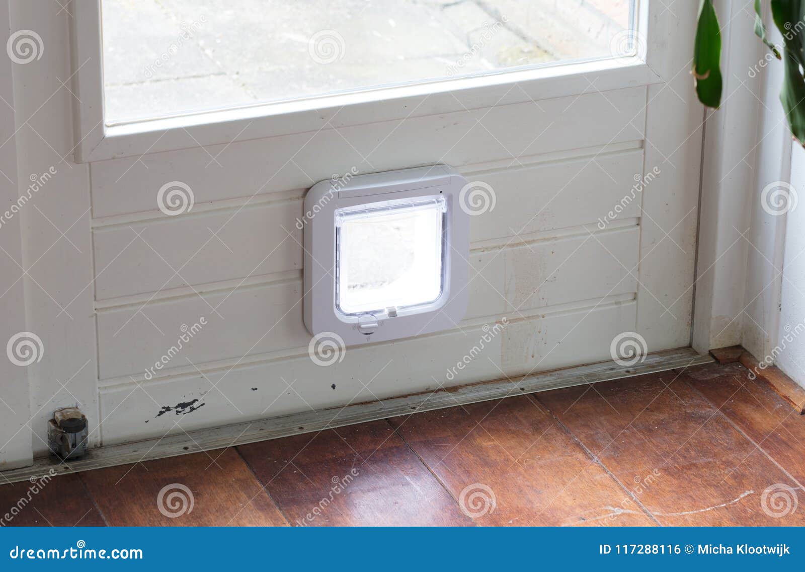 cat door inside house