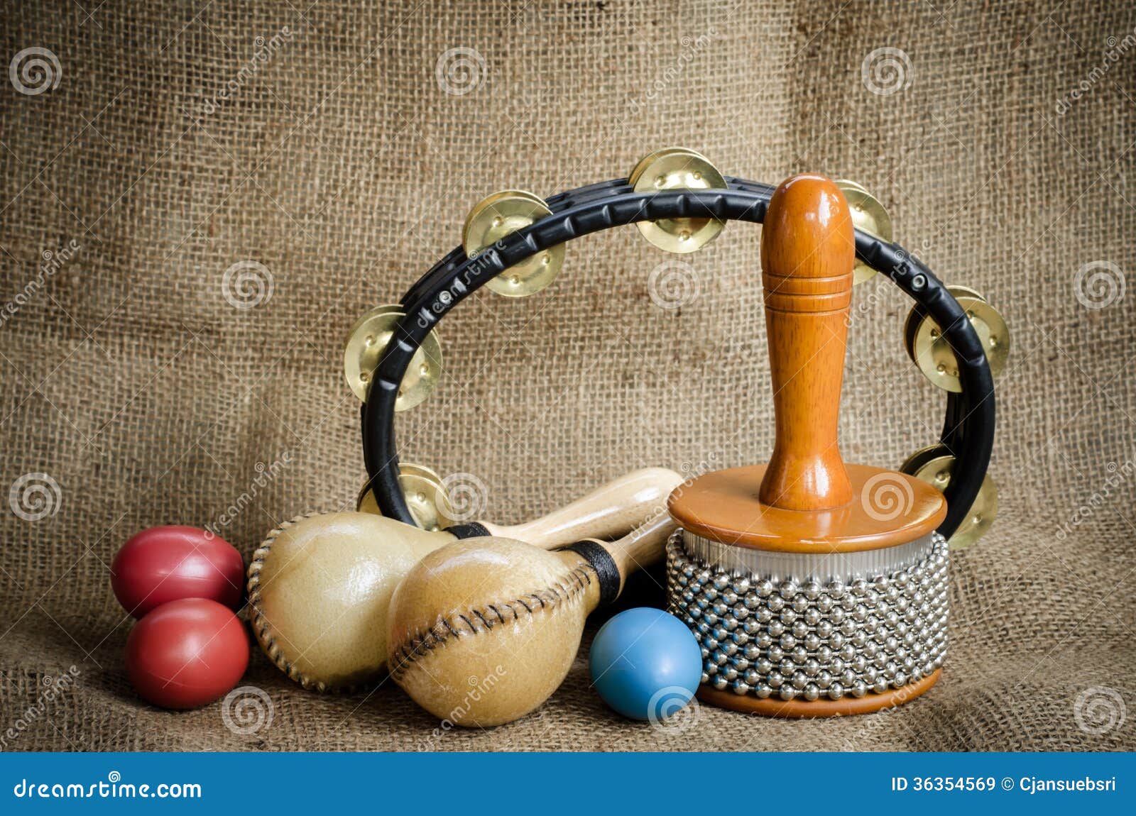 Set Percussioni Didattiche Con Borsa | Strumenti Musicali .net - Foto 4