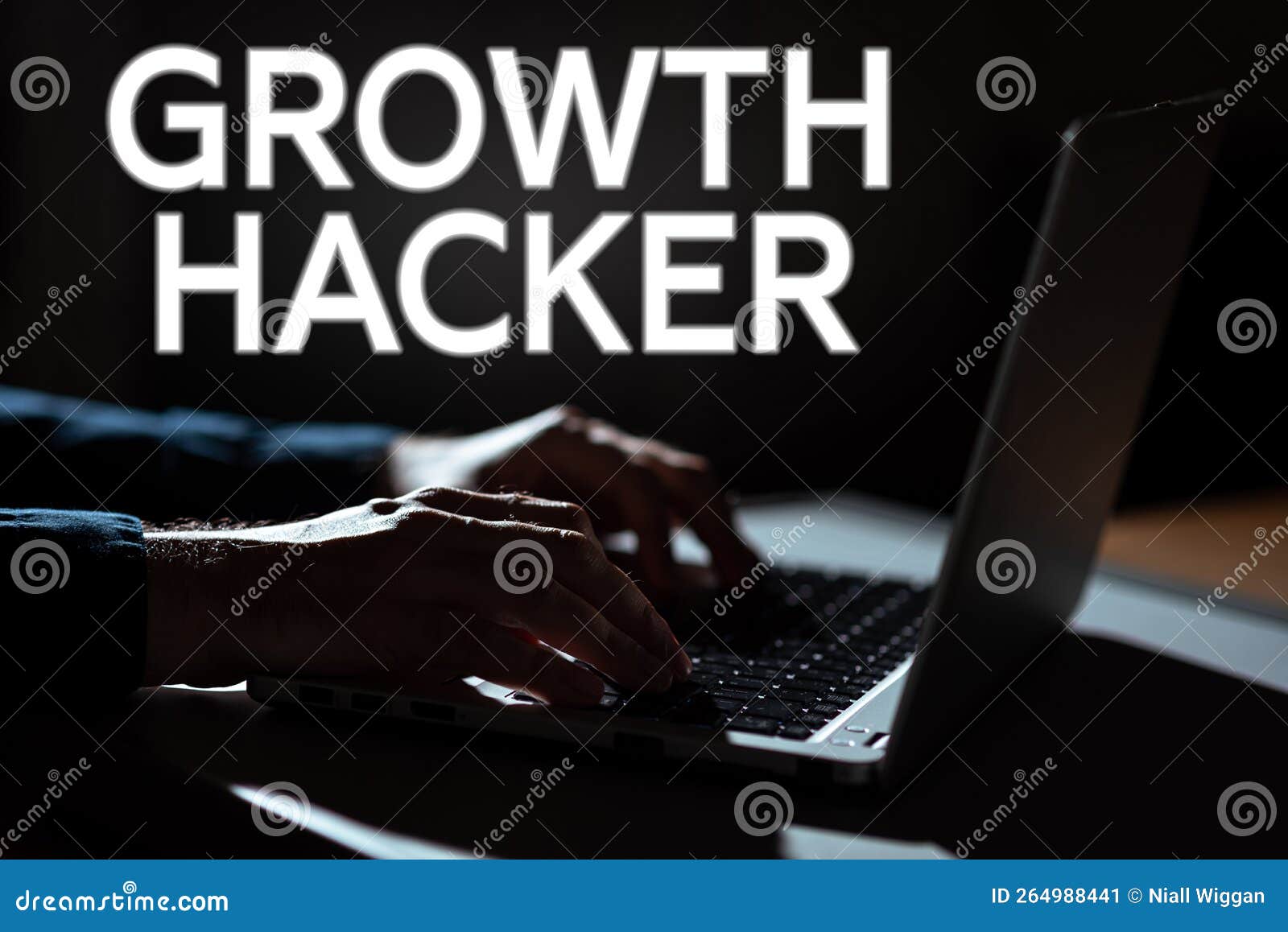 Inspiração Mostrando O Hacker Do Crescimento. Conceito Que Significa  Geralmente Adquirir O Maior Número Possível De Utilizadores O Imagem de  Stock - Imagem de internet, conhecimento: 264988441