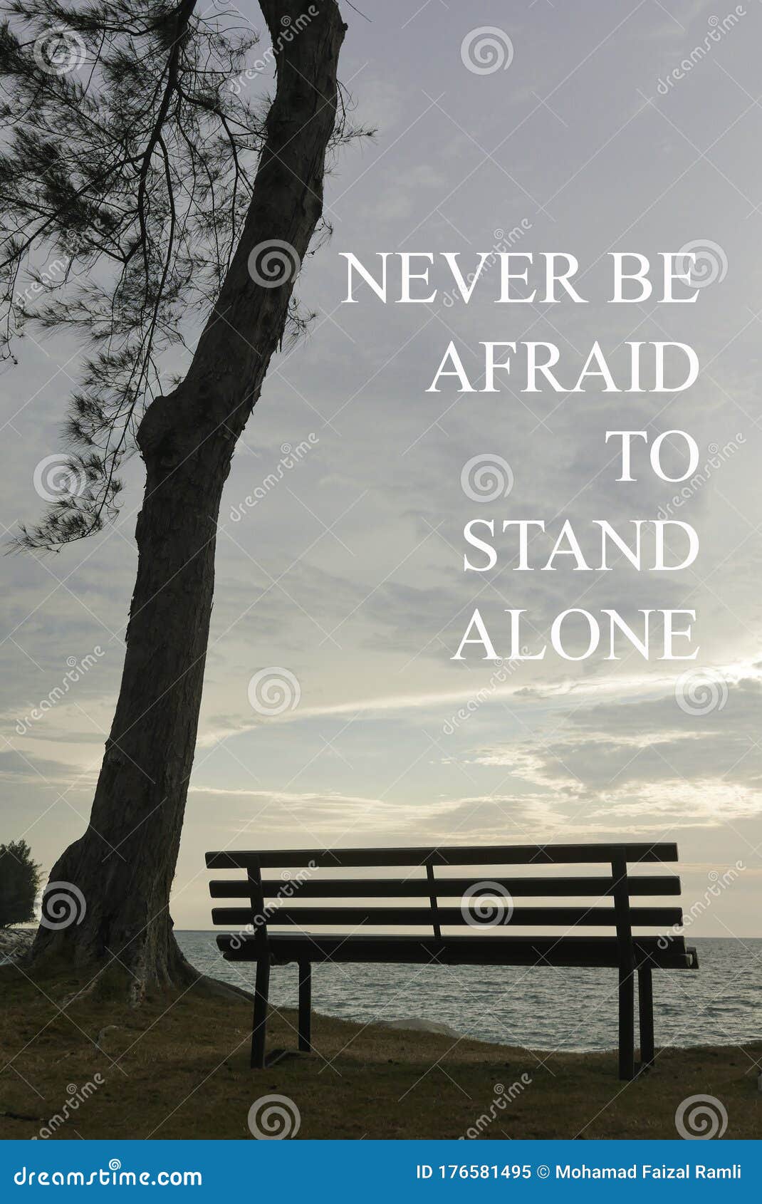 Inspiration Motivational Quotes With Single Bench And A Tree On A Hill During Sunset Never Be Afraid To Stand Alone Stock Image Image Of Motivation