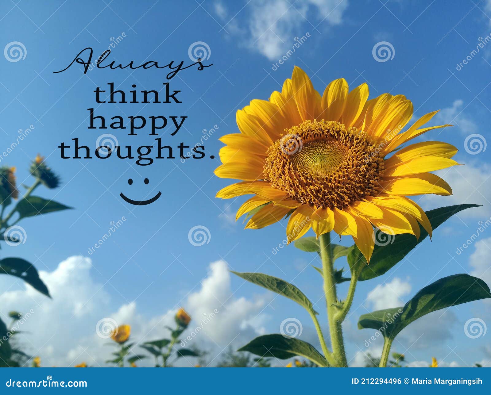 Inspiration Words - always Think Happy Thoughts. Summer and Spring  Inspirational Quote. Positive Motivational Quote with Sunflower Stock Photo  - Image of happy, flora: 212294496