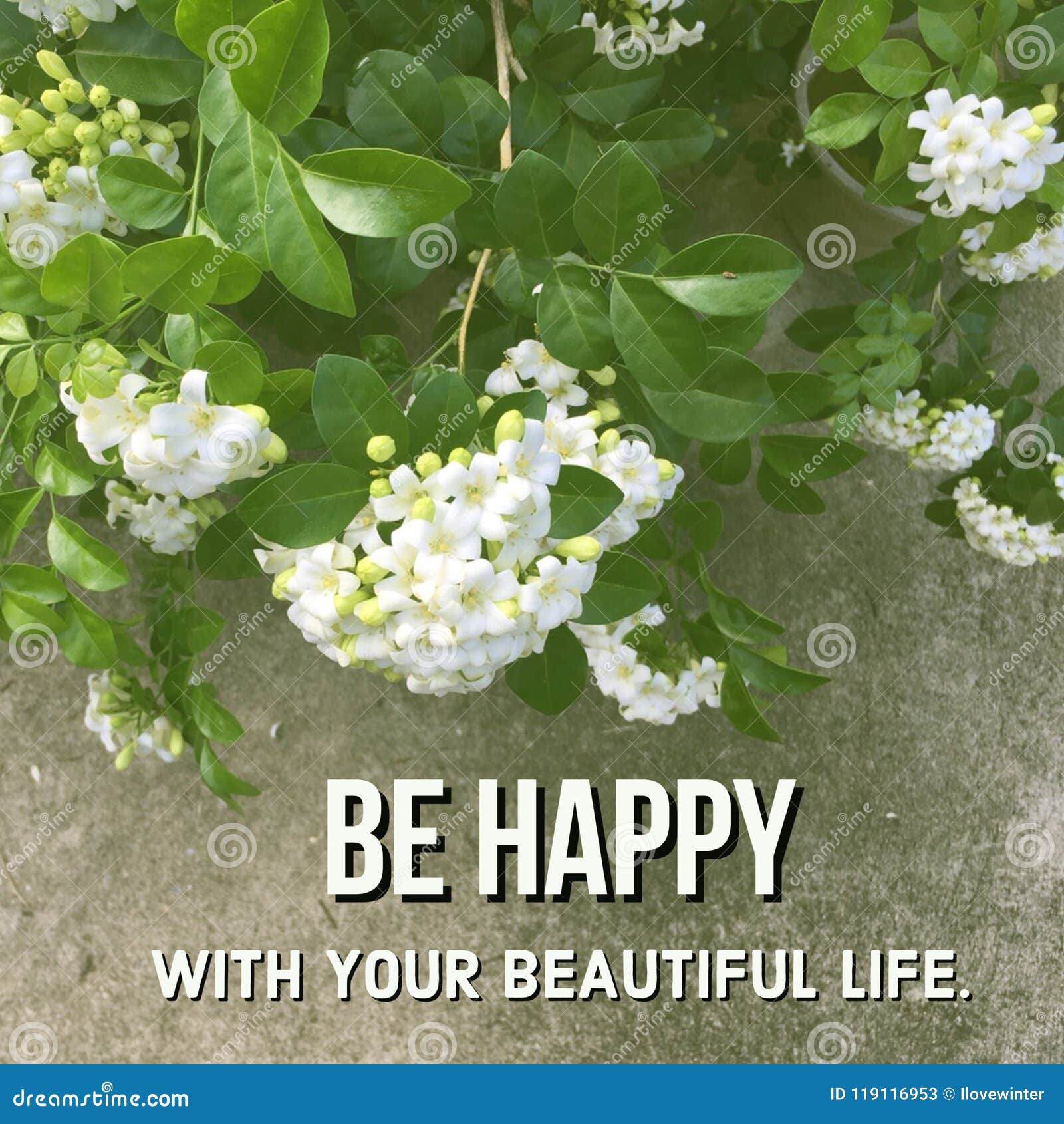 Inspirational Motivational Quote Be Happy With Your Beautiful Life Stock Image Image Of Branch Inspiration