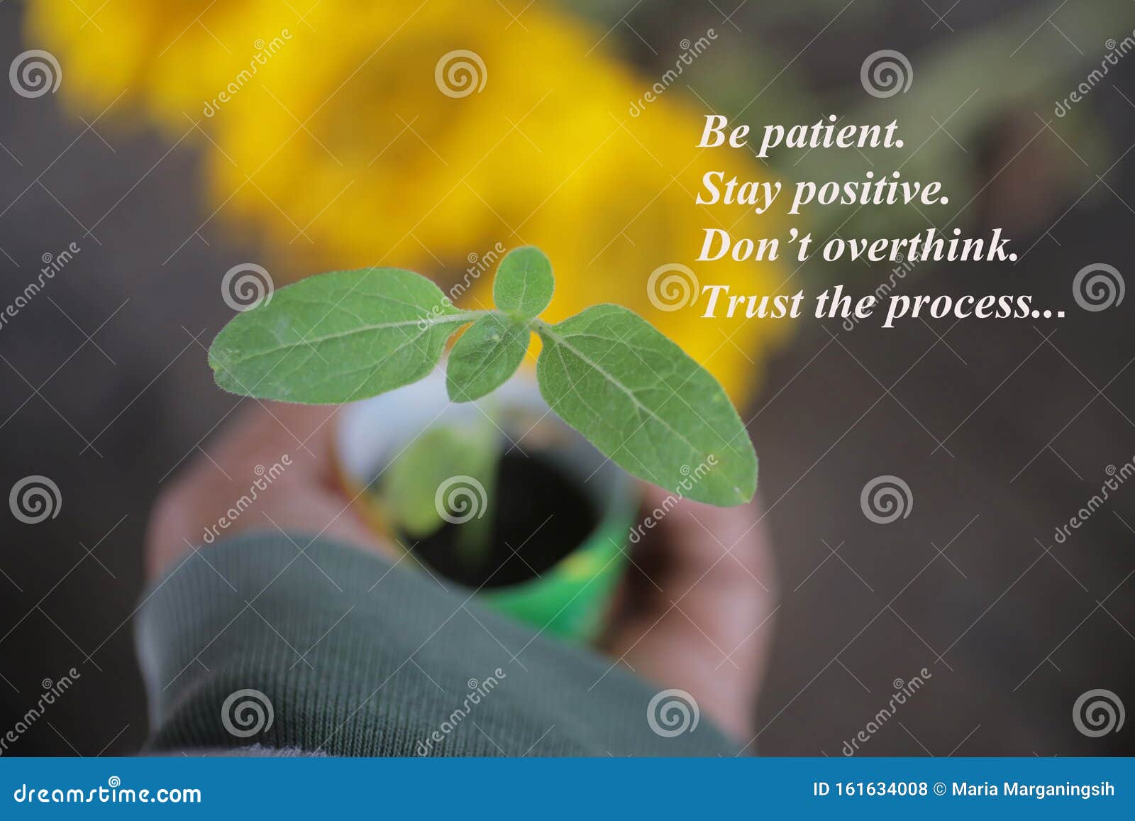 Inspirational Motivational Quote Be Patient Stay Positive Do Not Overthink Trust The Process With Little Plant In Hand Stock Photo Image Of Motivational Inspiration 161634008