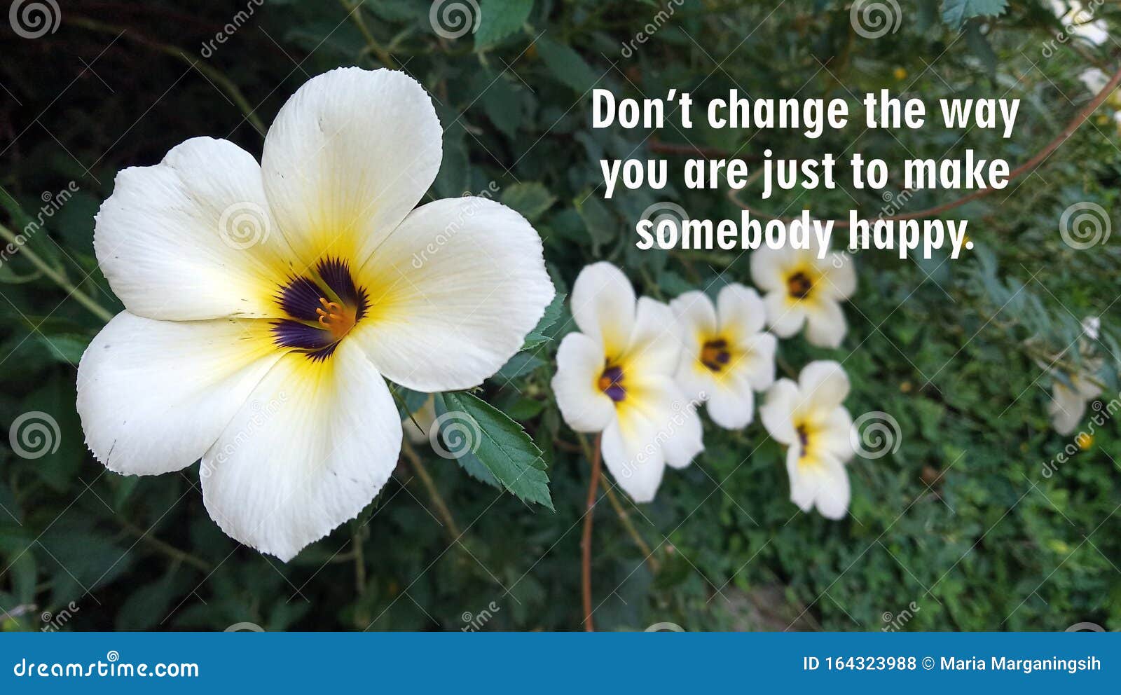 Inspirational Motivational Quote - Do Not Change The Way ...