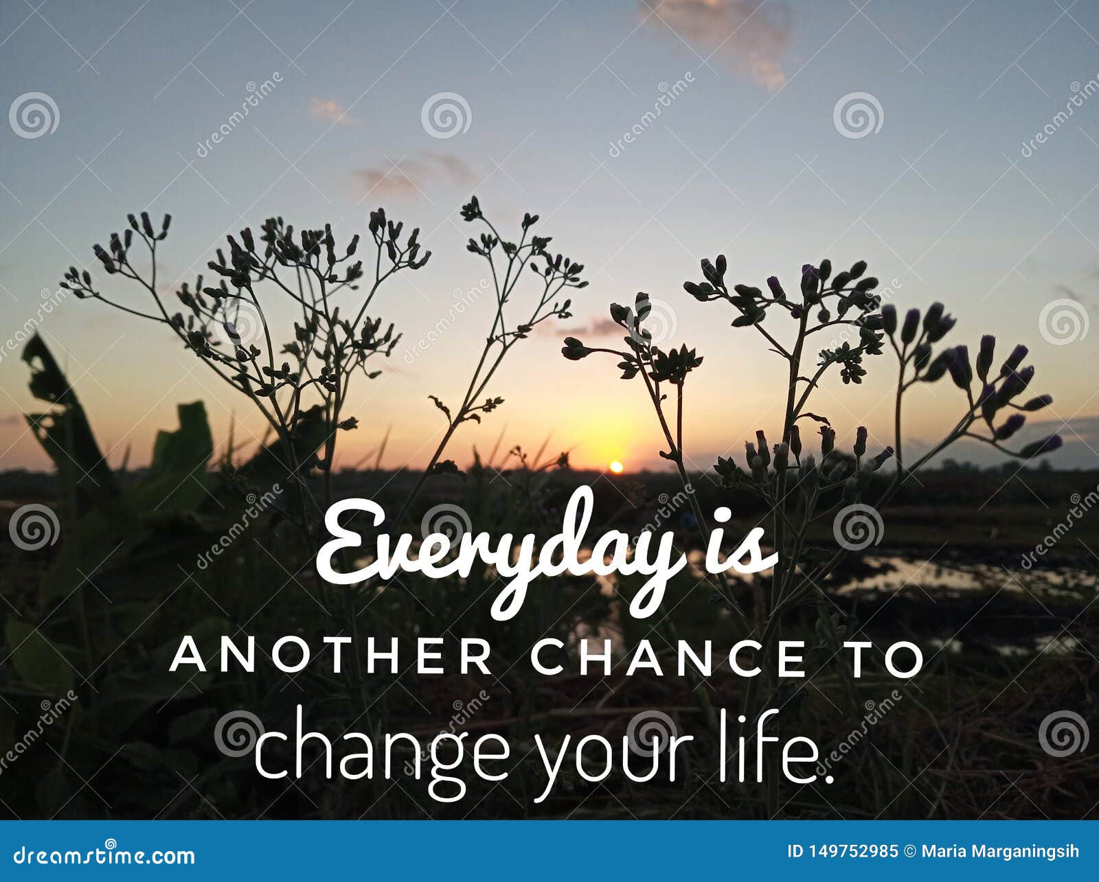 inspirational motivational quote- everyday is another chance to change your life. with meadow grass flowers silhouette and sunset