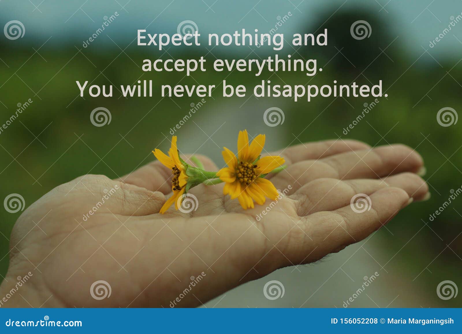 Inspirational Words Expect Nothing Appreciate Anything You Will Never Be Disappointed With Two Little Daisy Flowers In Hand Stock Photo Image Of Blessings Girl