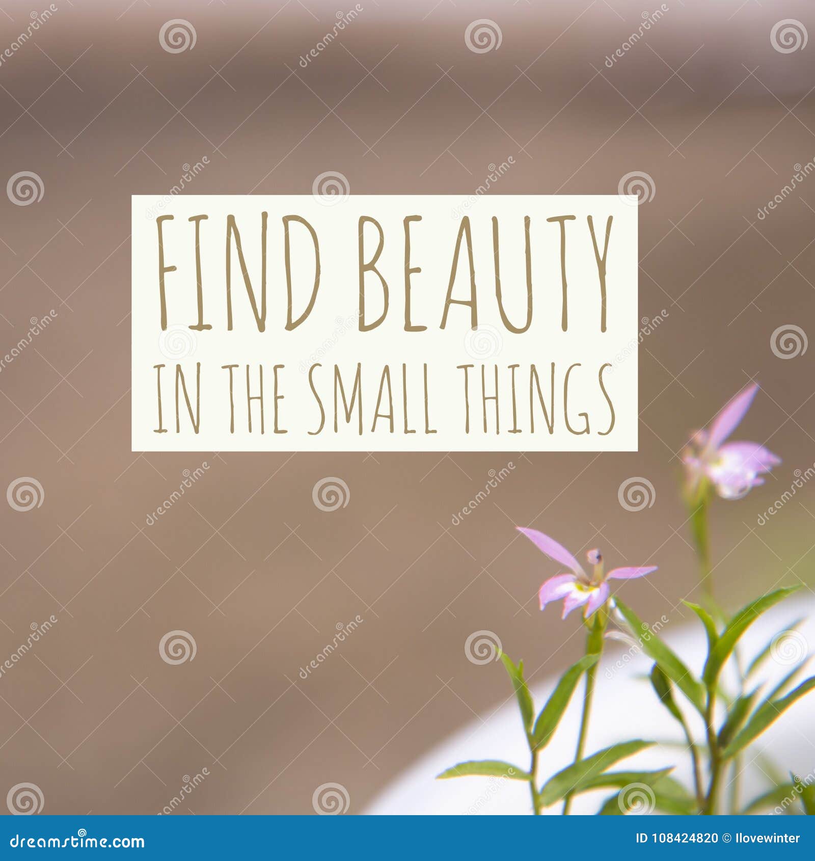 Inspirational Motivational Quote Find Beauty In The Small Things Stock Photo Image Of Beautiful Flower