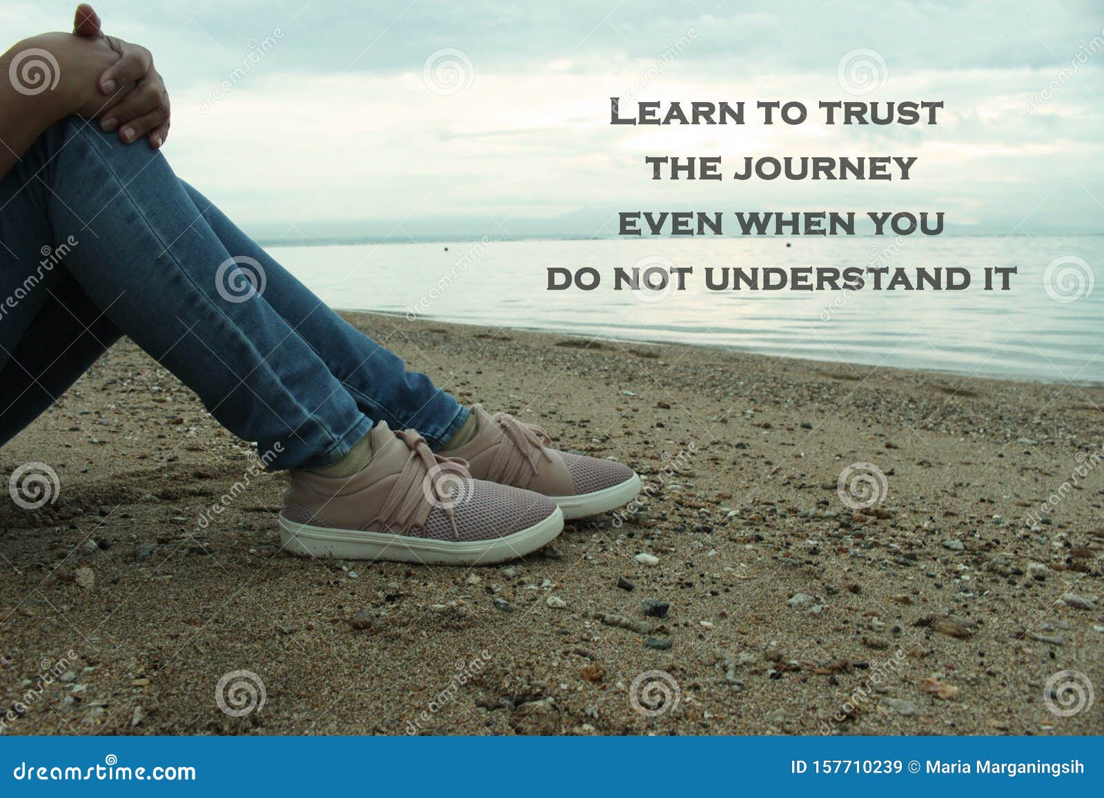 inspirational motivational quote-learn to trust the journey, even when you do not understand it.