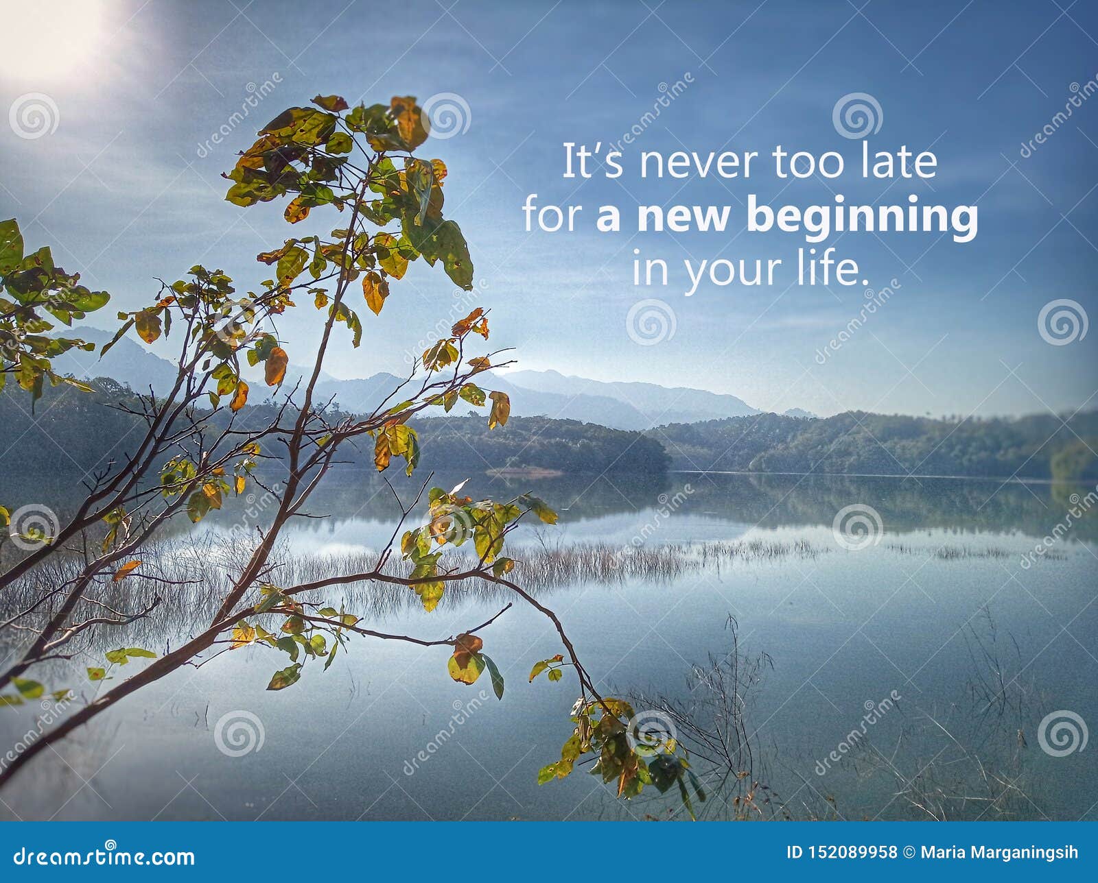 inspirational motivational quote - it is never too late for a new beginning in your life. with sun morning light over beautiful