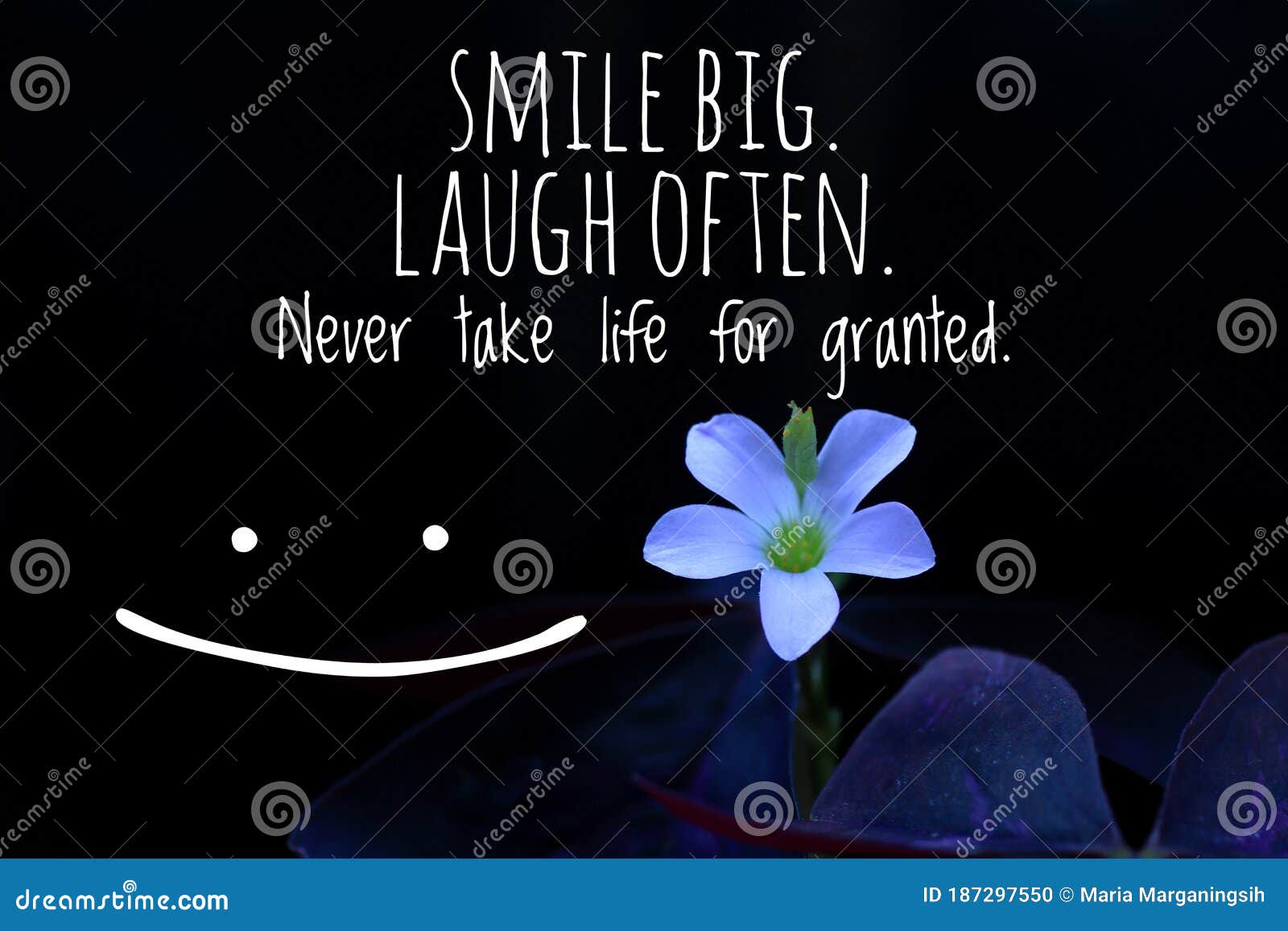Inspirational Motivational Quote - Smile Big. Laugh Often. Never ...