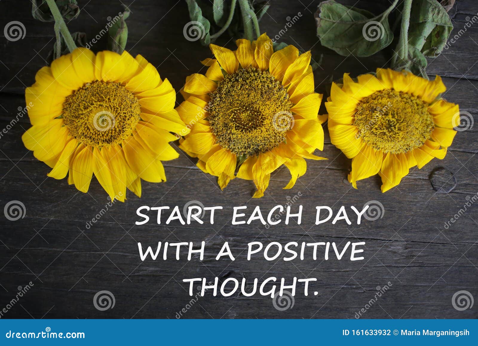 inspirational motivational quote - start each day with a positive thought. with yellow sun flowers on rustic wooden table