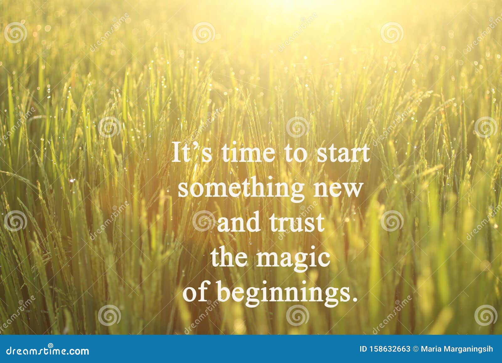 inspirational motivational quote-it is time to start something new and trust the magic of beginnings. with morning golden light