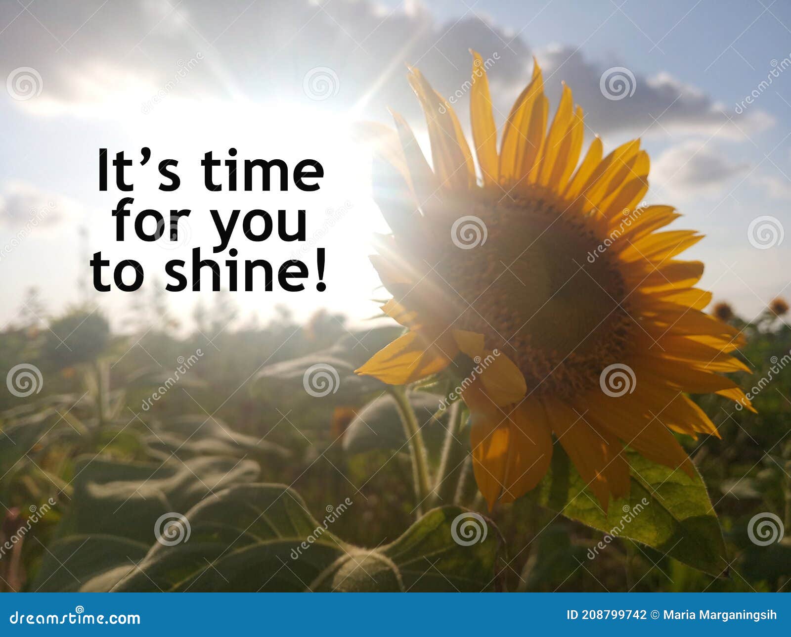 inspirational motivational quote - it is time for you to shine. self love care and confidence concept.