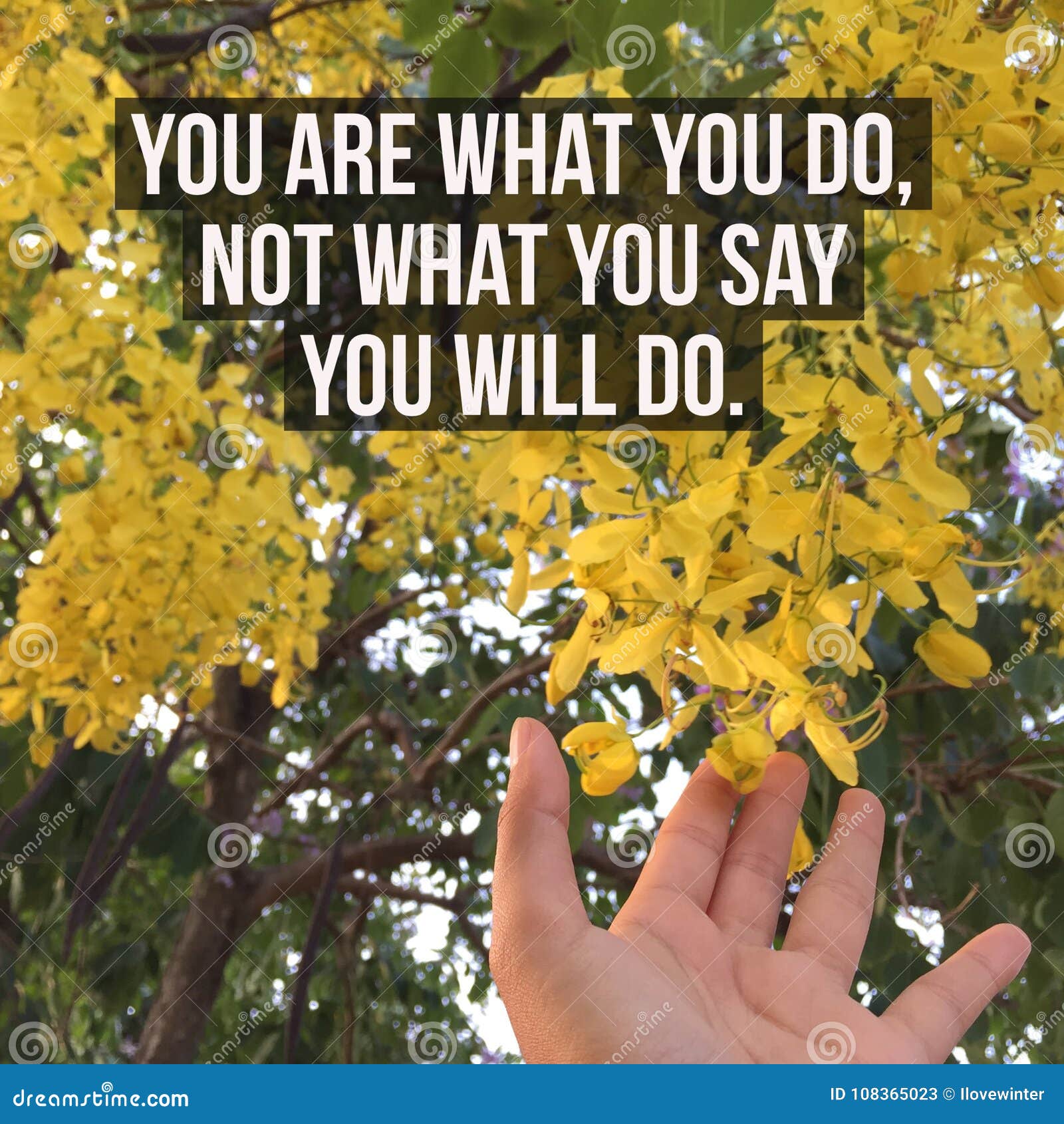 inspirational motivational quote `you are what you do,not what you say you will do.`