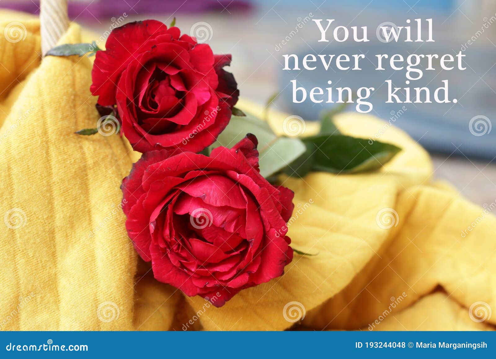 Inspirational Motivational Quote - You Will Never Regret Being ...