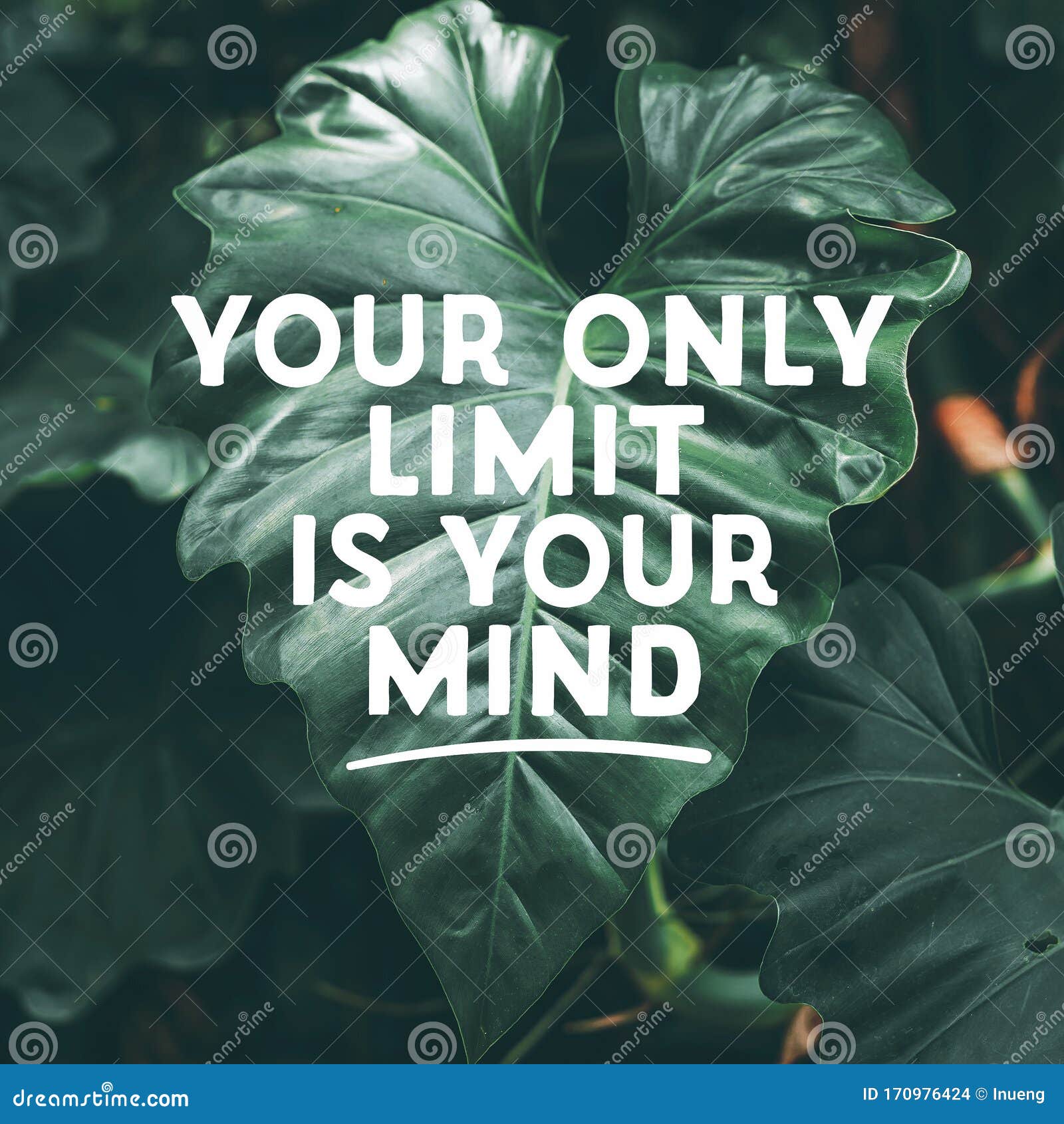 Inspirational Motivational Quote `your only Limit is Your Mind.` on