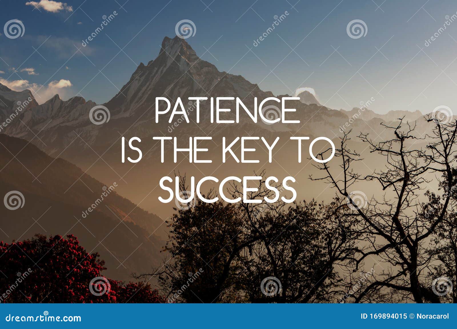 Motivational Quotes - Patience is the Key To Success Stock Image ...