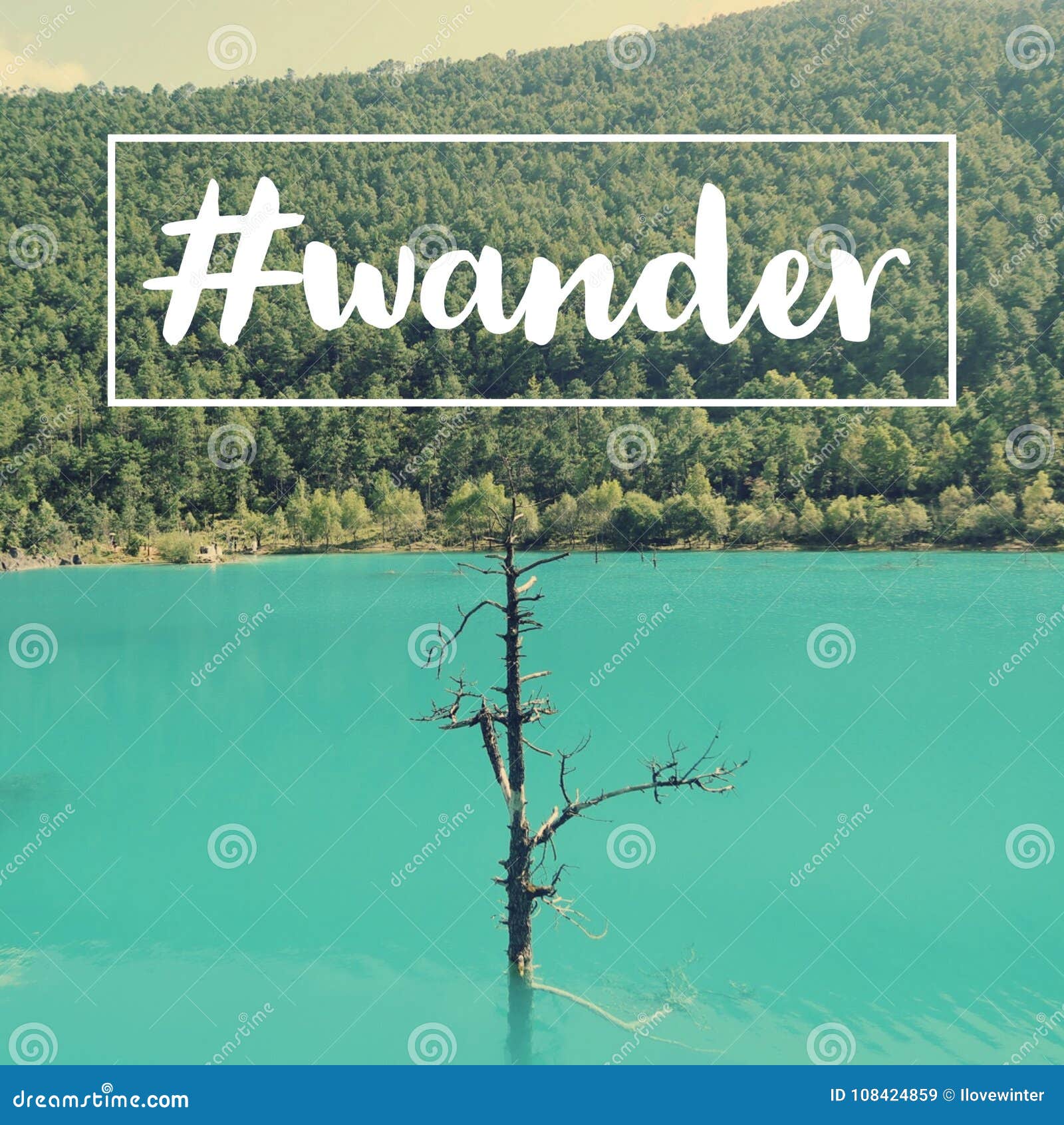 inspirational motivational travel quote `wander`
