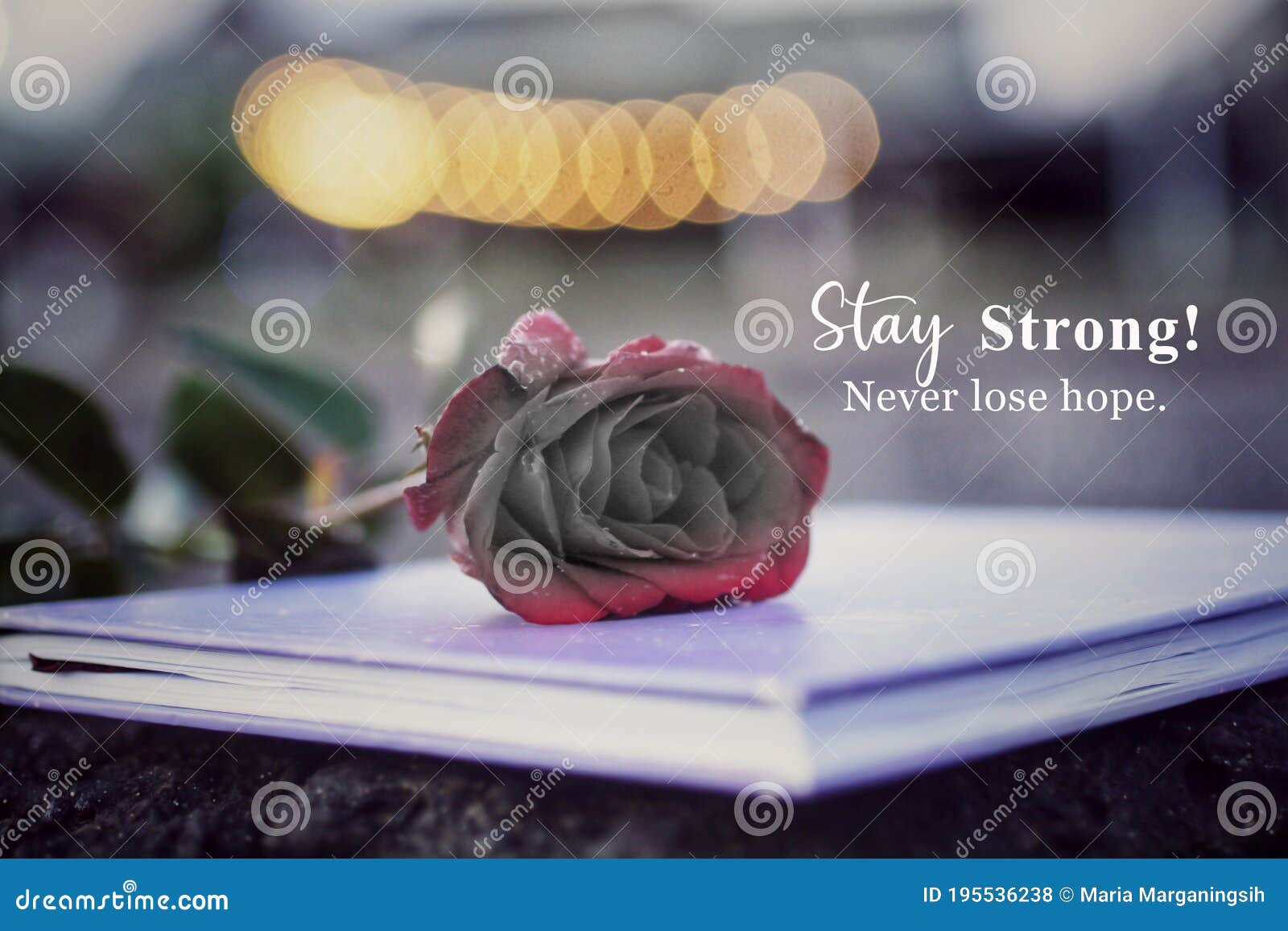 inspirational motivational words - stay strong. never lose hope. encouragement and fragility quote on vintage background of black