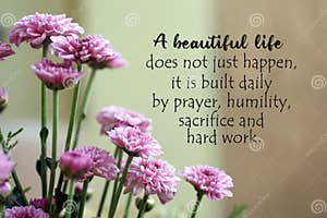 A Beautiful Life Quotes
