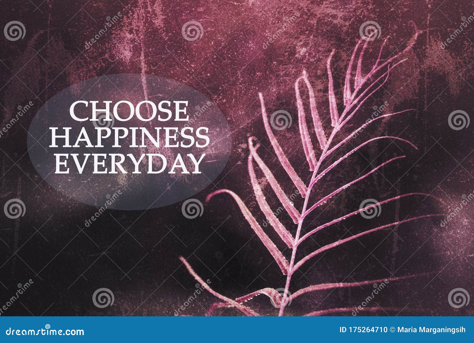 HD wallpaper choice choose choosing editorial happy happyness joy   Wallpaper Flare