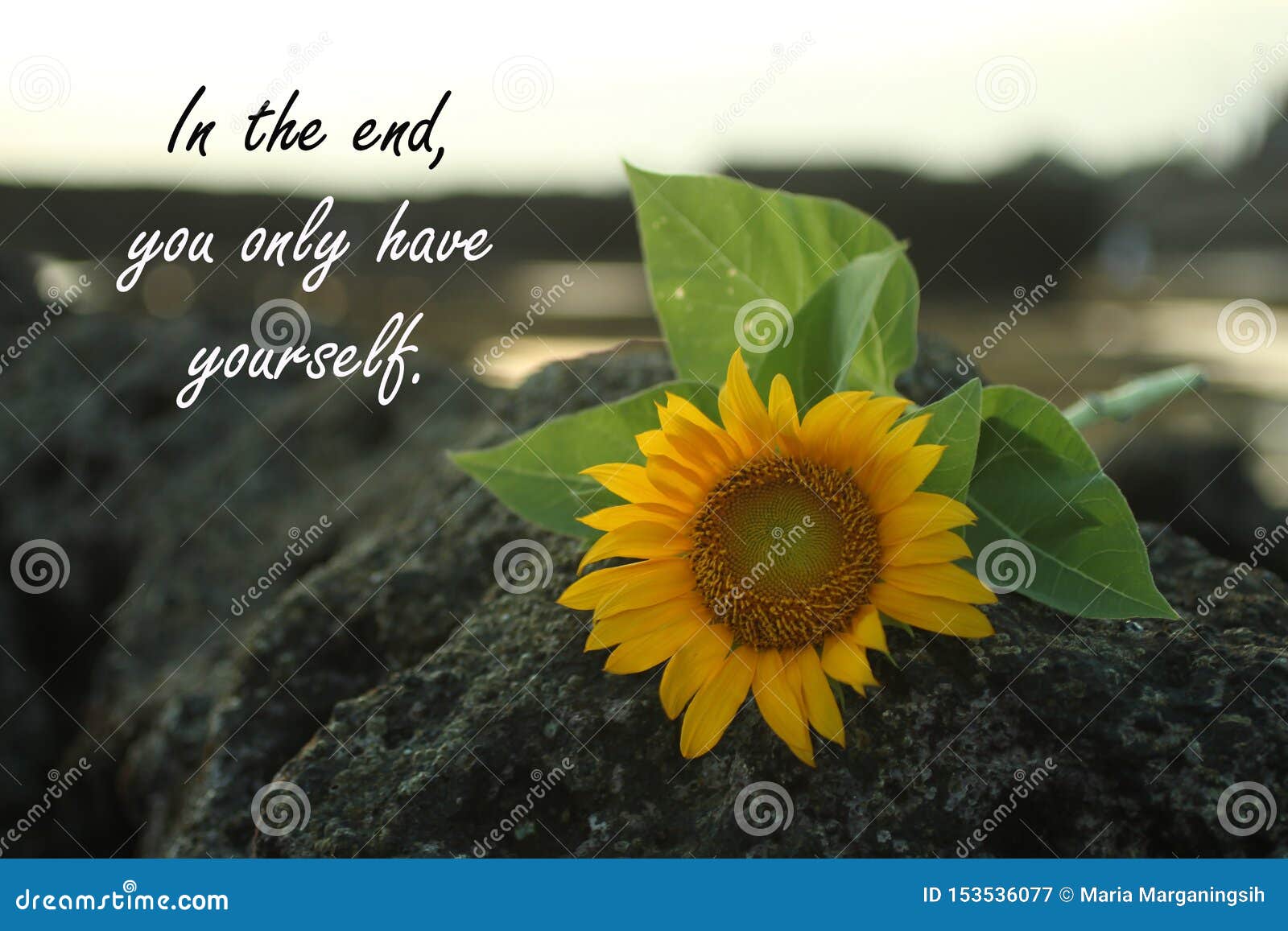 In The End You Only Have Yourself Quotes Inspirational Quote - In The End, You Only Have Yourself. Be Kind To Yourself Concept Stock Image - Image Of Concept, Notes: 153536077 In The End You Only Have Yourself Quotes Inspirational Quote - In The End, You Only Have Yourself. Be Kind To Yourself Concept Stock Image - Image Of Concept, Notes: 153536077