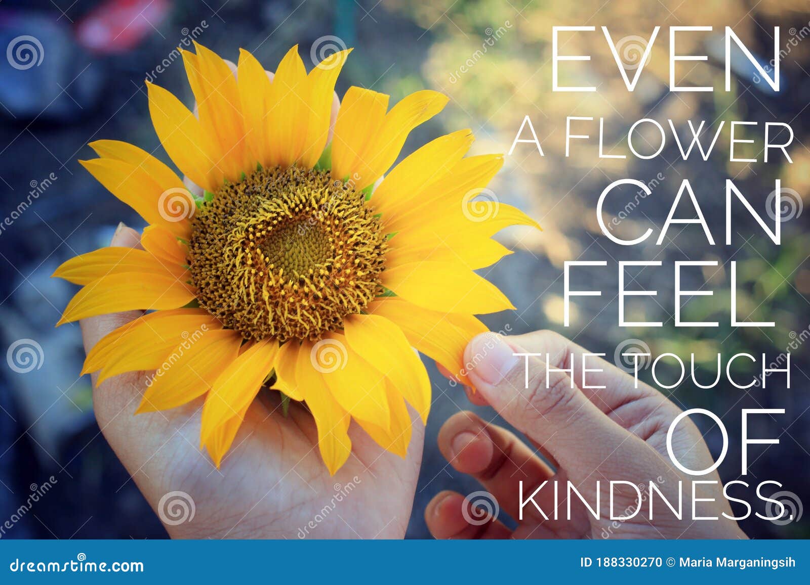 Inspirational Quote - Even a Flower Can Feel the Touch of Kindness ...