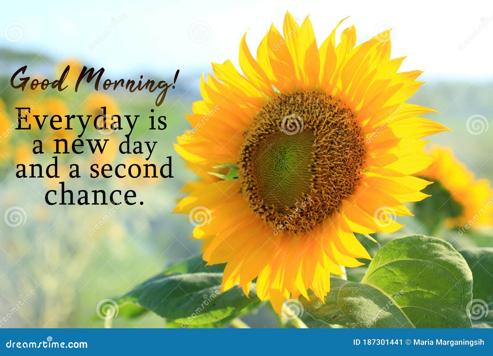 Inspirational Quote - Good Morning. Everyday is a New Day and a ...