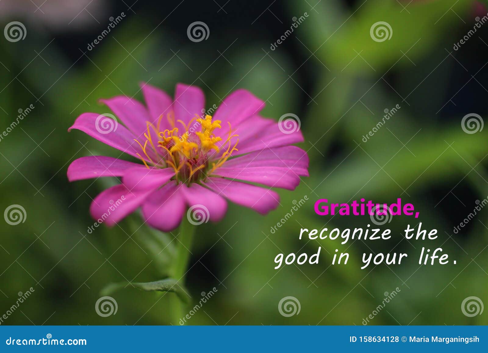 Inspirational Quote - Gratitude, Recognize the Good in Your Life ...