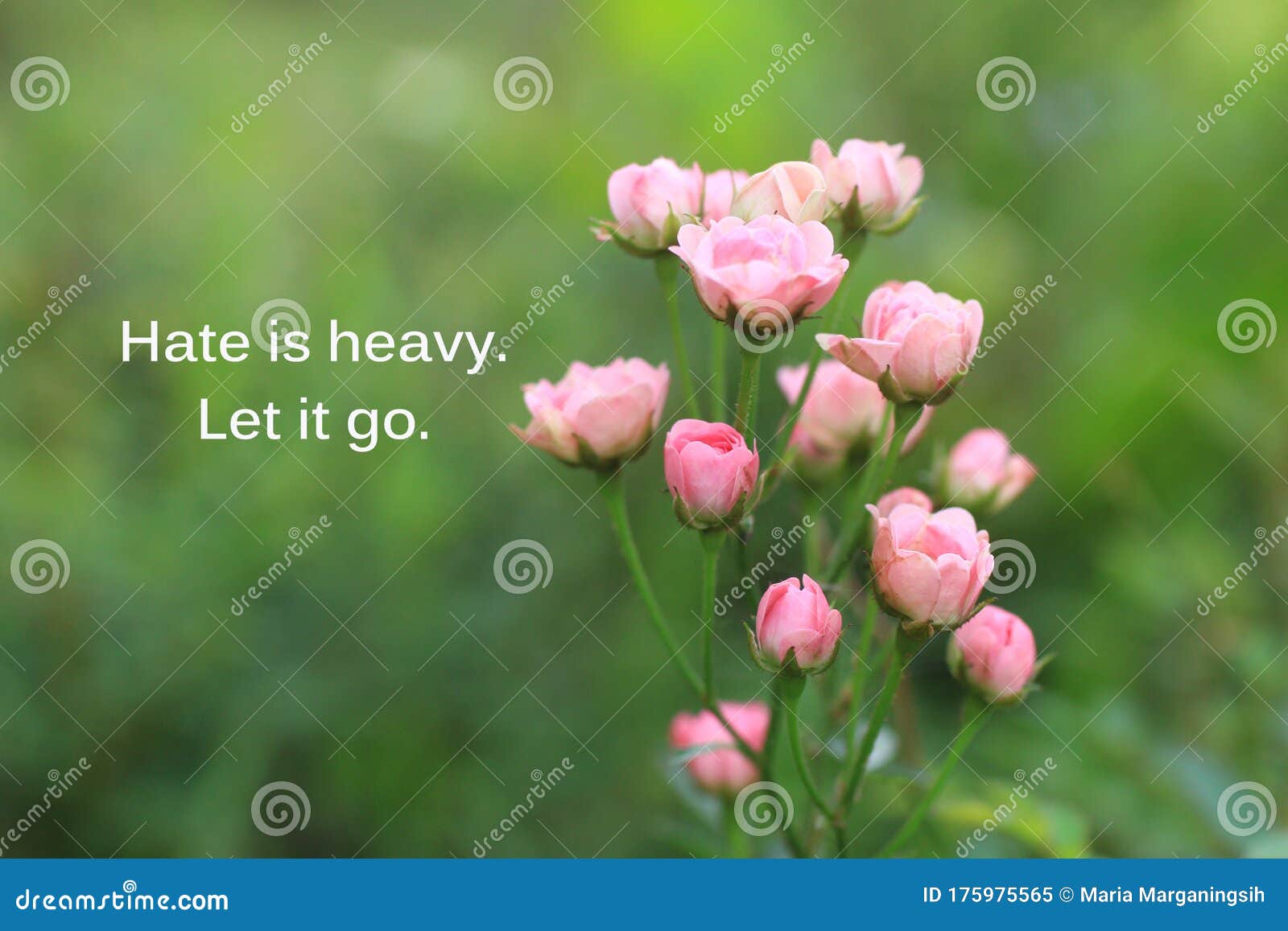 Inspirational Quote - Hate is Heavy. Let it Go. with Beautiful ...