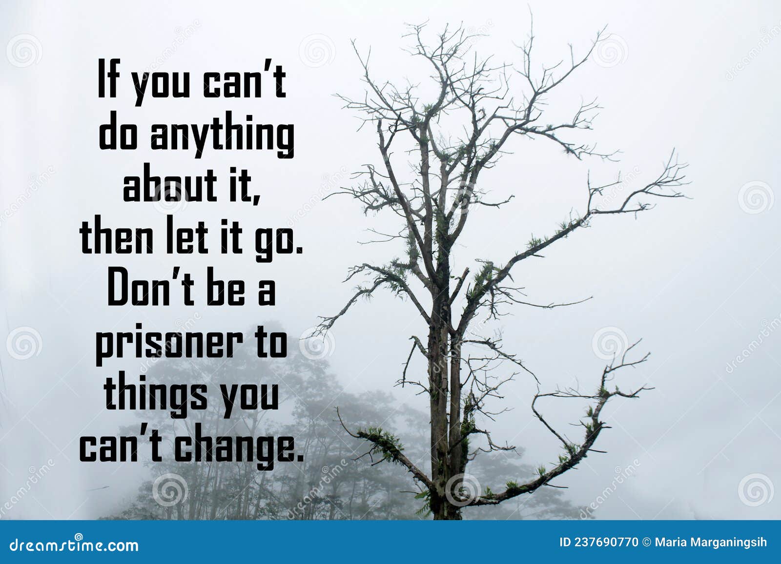 inspirational quote - if you can`t do anything about it, then let it go. don`t be a prisoner to things you can`t change.