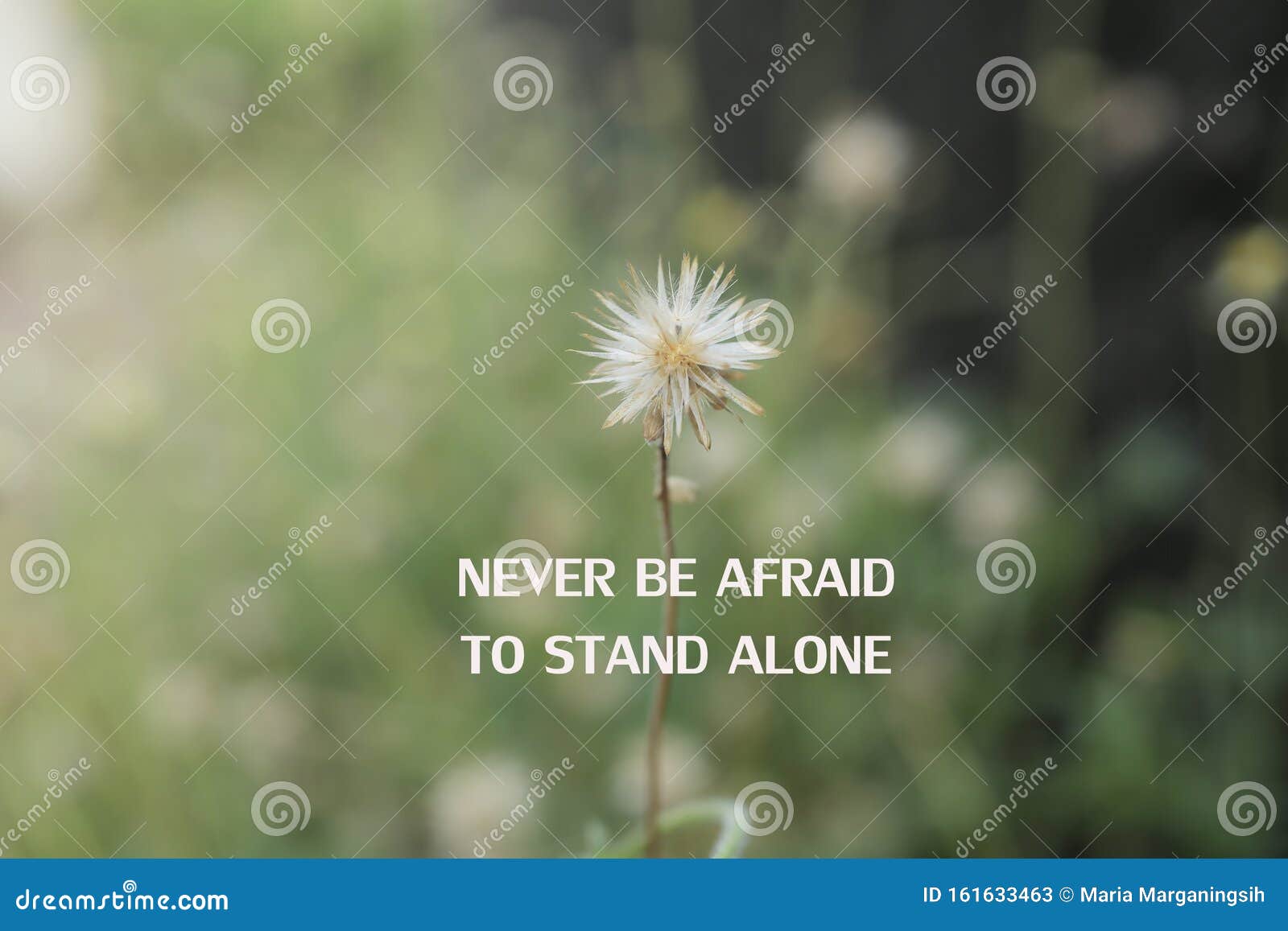 Inspirational Quote - Never Be Afraid To Stand Alone. with White ...