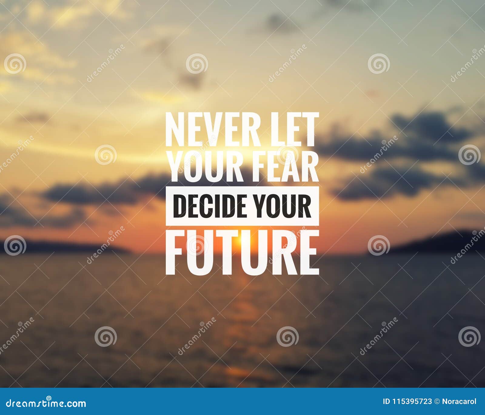 inspirational quote - never let your fear decide your future