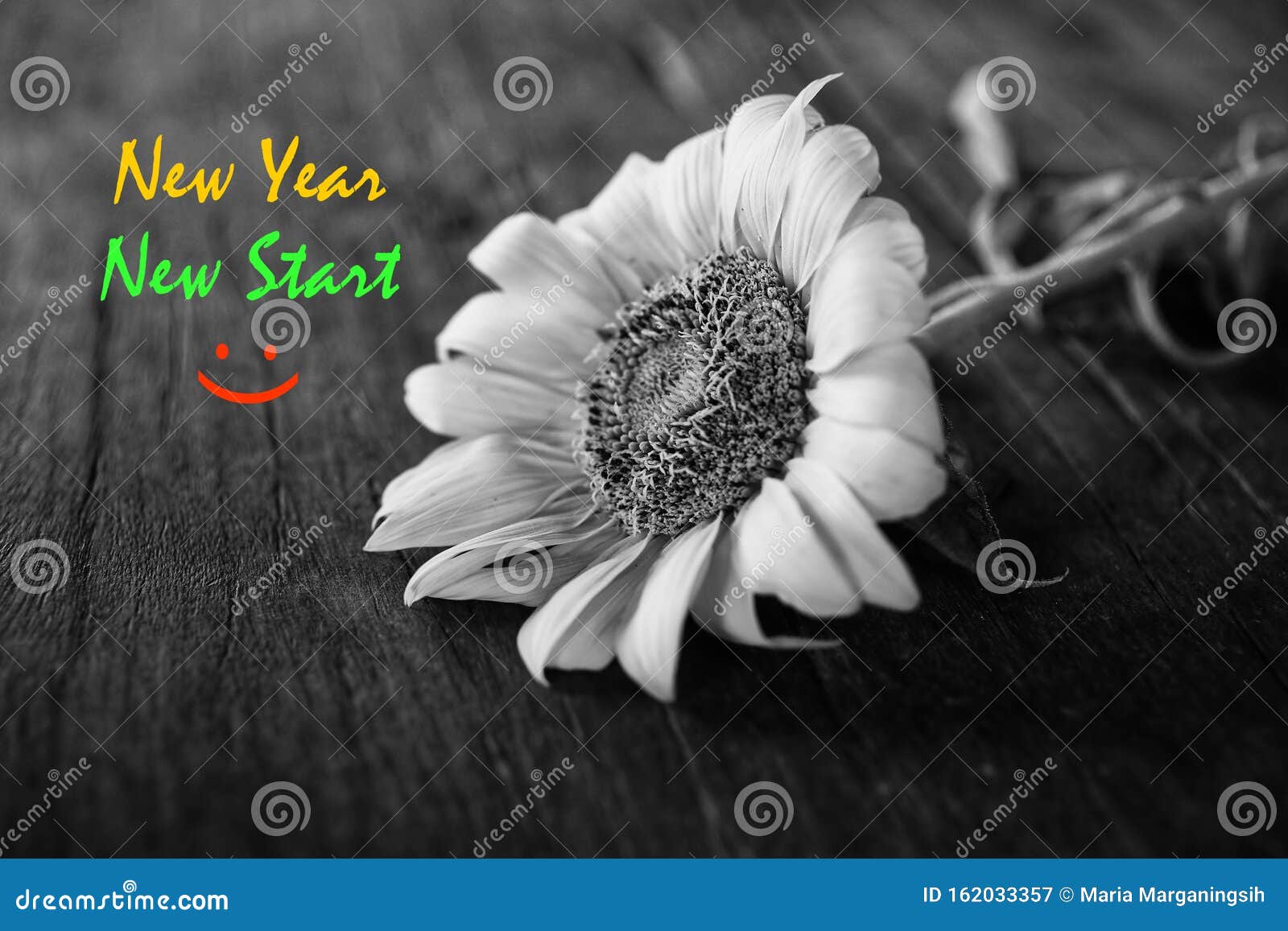 Download Inspirational Quote - New Year. New Start. Welcoming Fresh ...