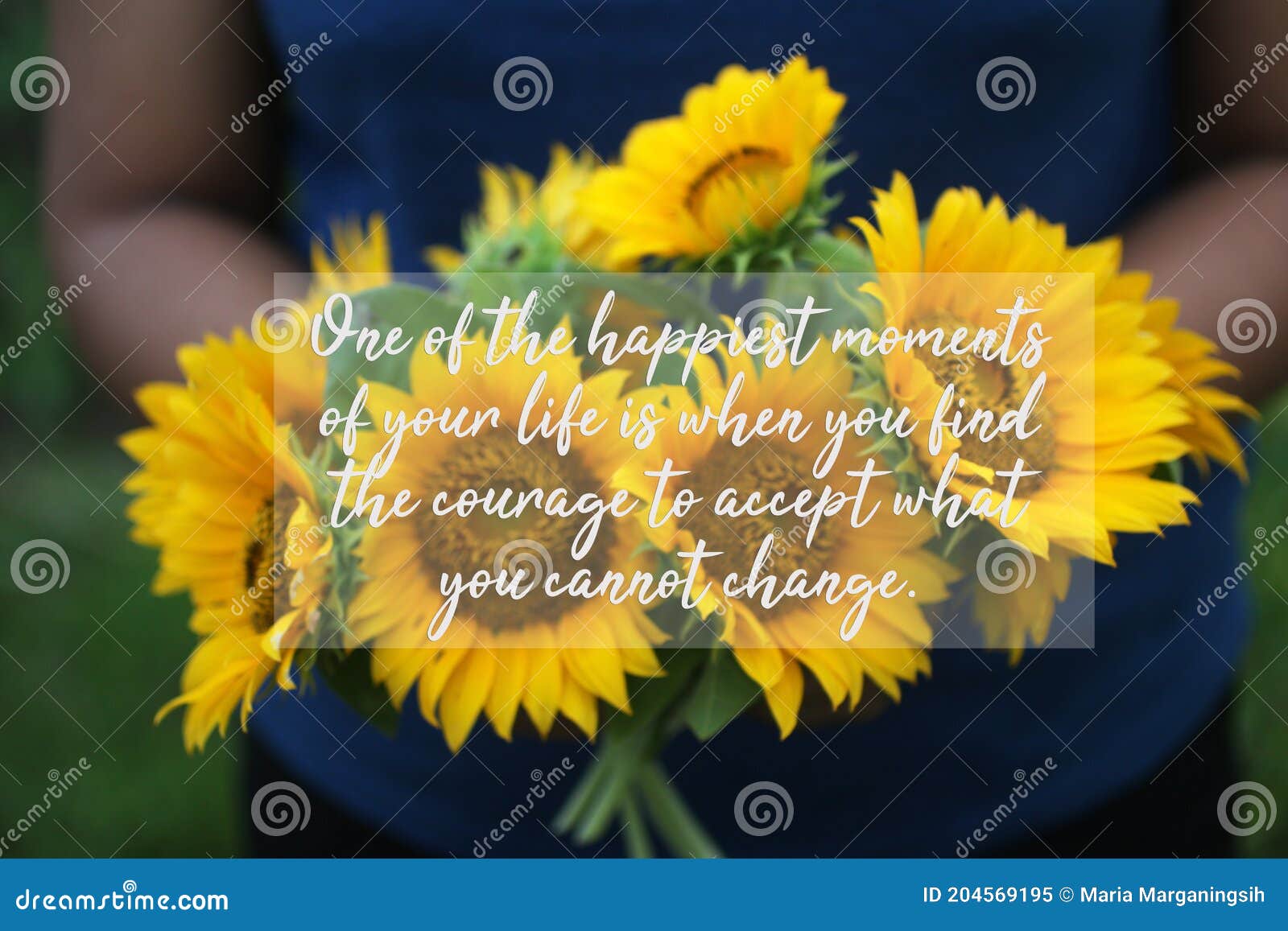 Inspirational Quote - One of the Happiest Moments of Your Life is when You Find the Courage To Accept What You Cannot Change. Stock Image - Image of message, moments: 204569195 Inspirational Quote - One of the Happiest Moments of Your Life is when You Find the Courage To Accept What You Cannot Change. Stock Image - Image of message, moments: 204569195