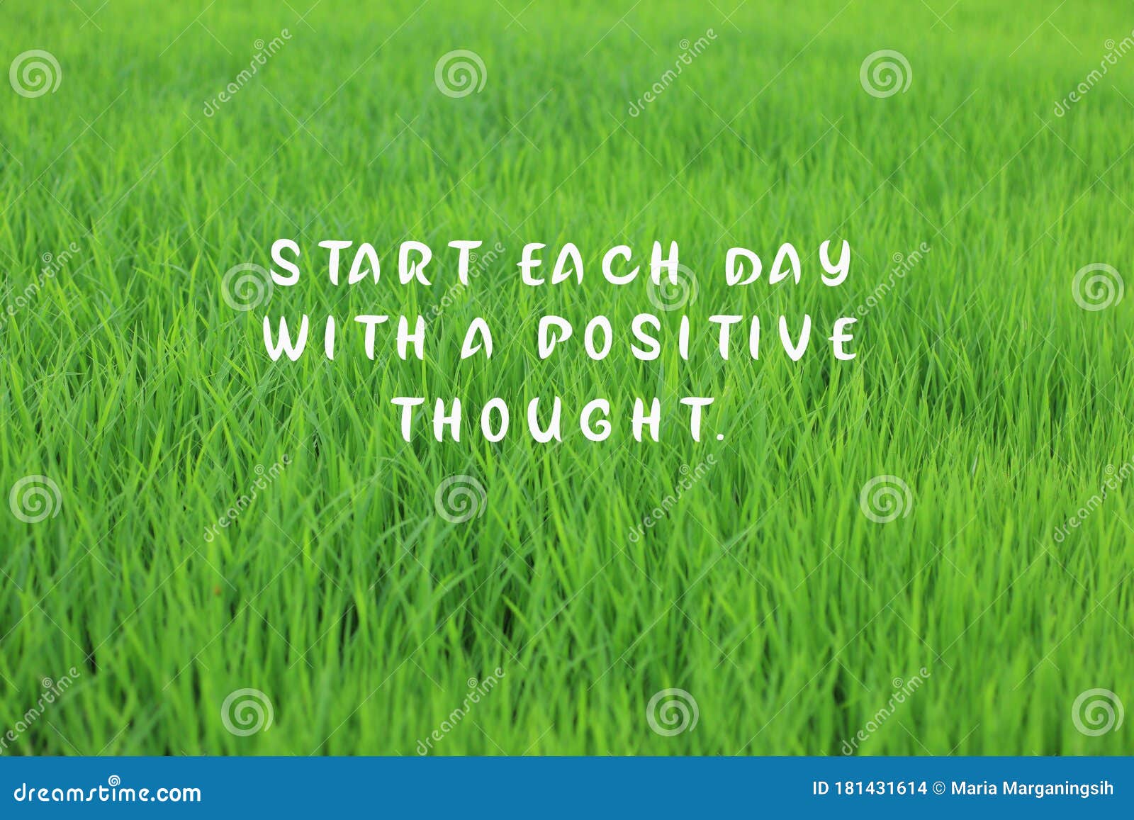 Inspirational Quote - Start Each Day with a Positive Thought. on Fresh  Green Background of Young Paddy Leaves Pattern Texture Stock Photo - Image  of freshness, green: 181431614