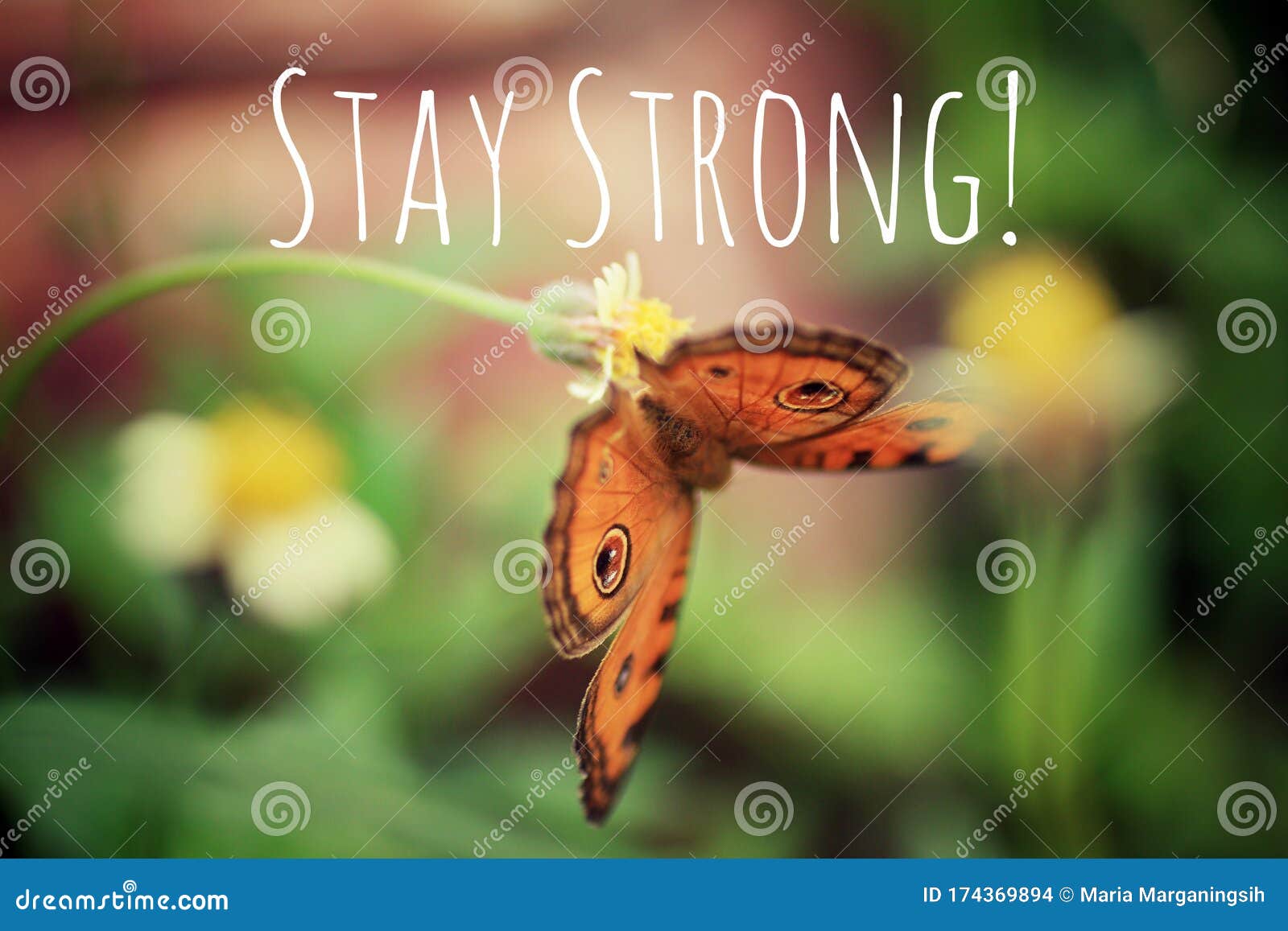 Inspirational Quote - Stay Strong. with a Beautiful Orange ...