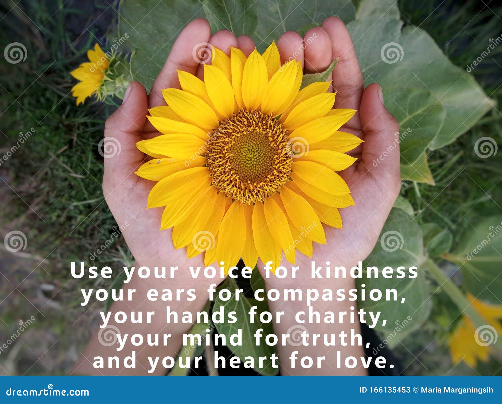 inspirational quote - use your voice for kindness, your ears for compassion, your hands for charity, your mind for truth.