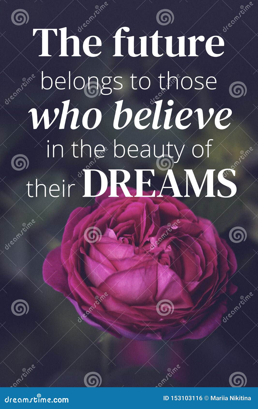 inspirational quotes. the future belongs to those who believe in the beaty of their dreams