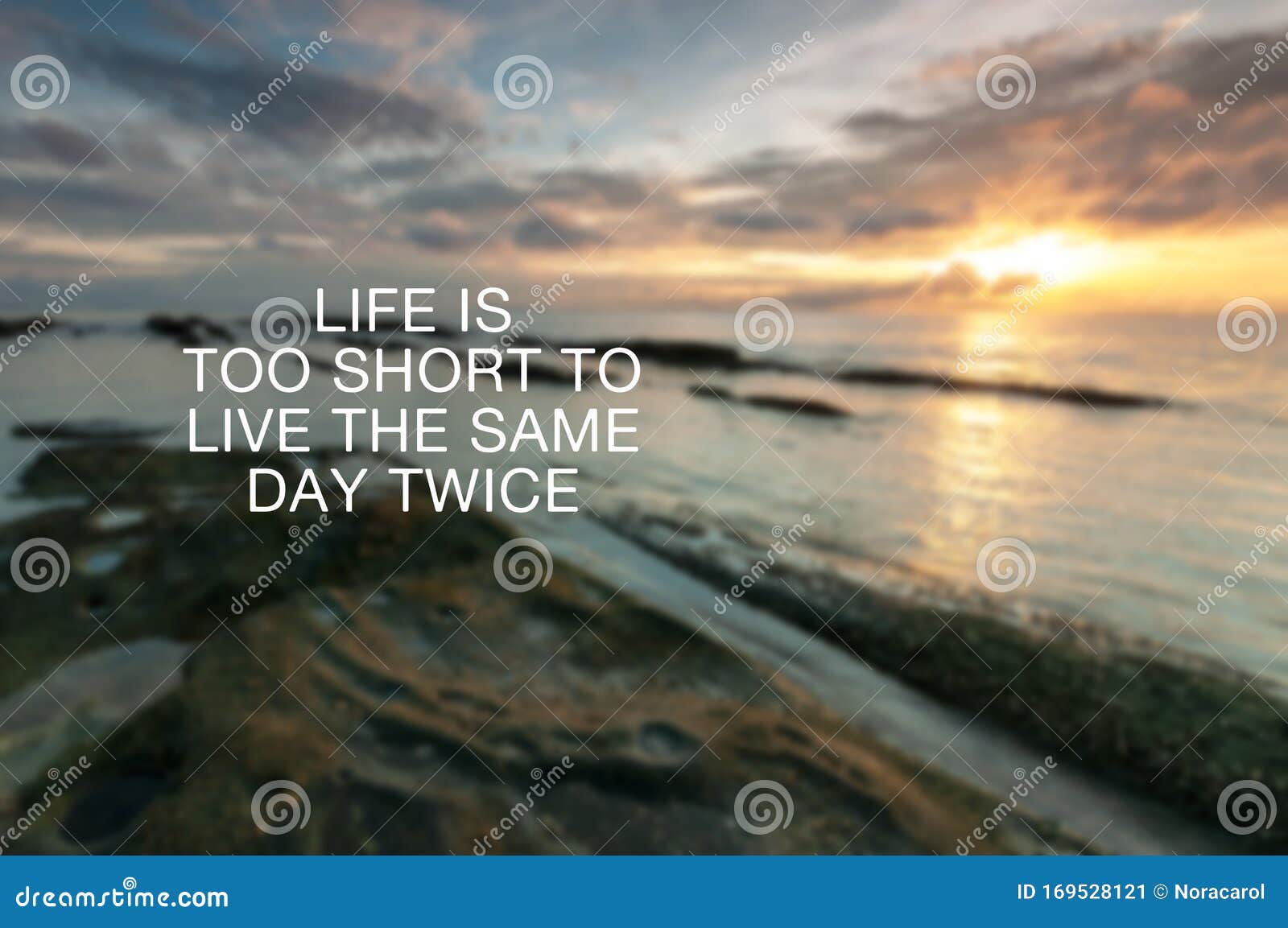 3 Live Life Quotes Photos Free Royalty Free Stock Photos From Dreamstime